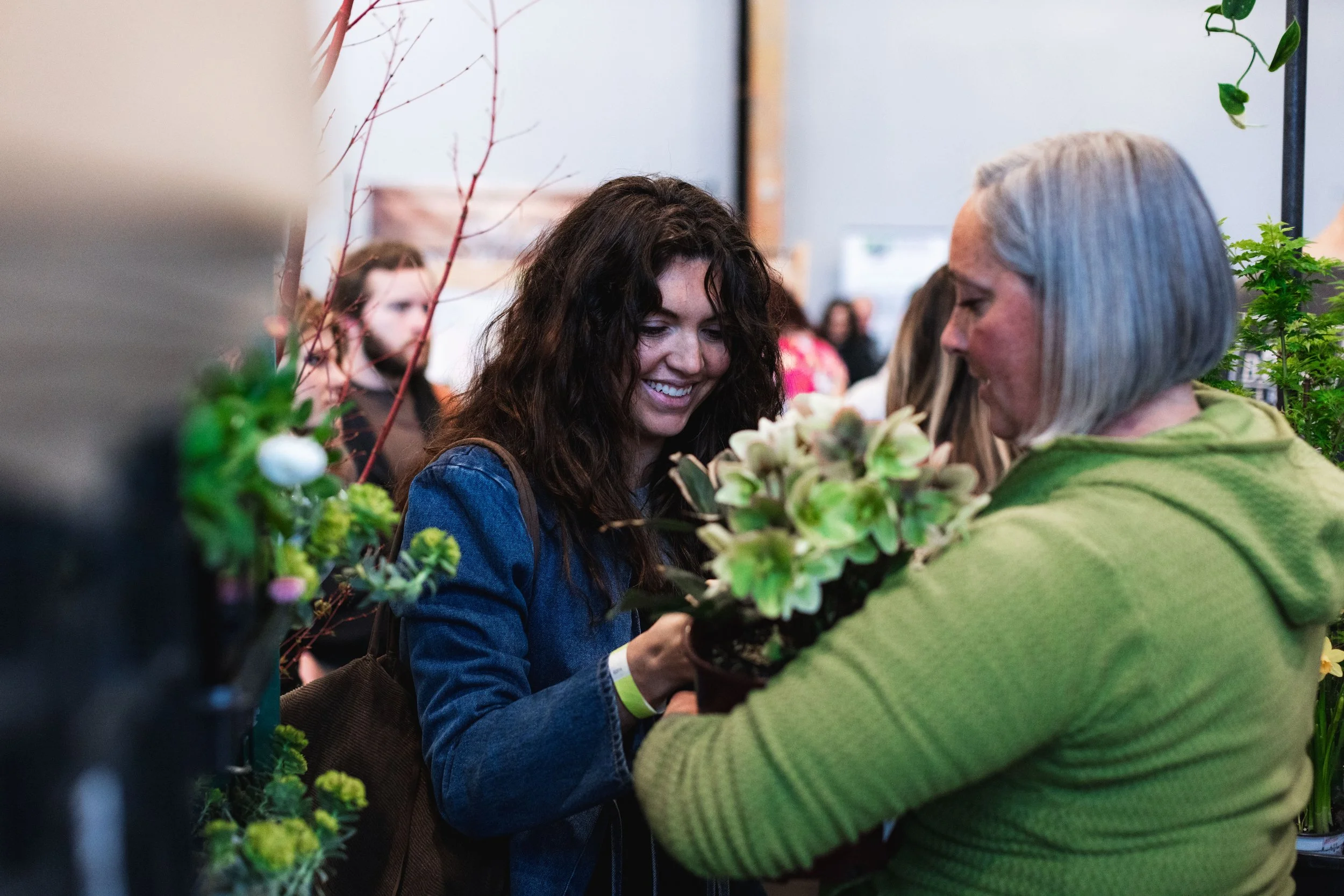 Bloom PVD 2025 WEB-182.jpg