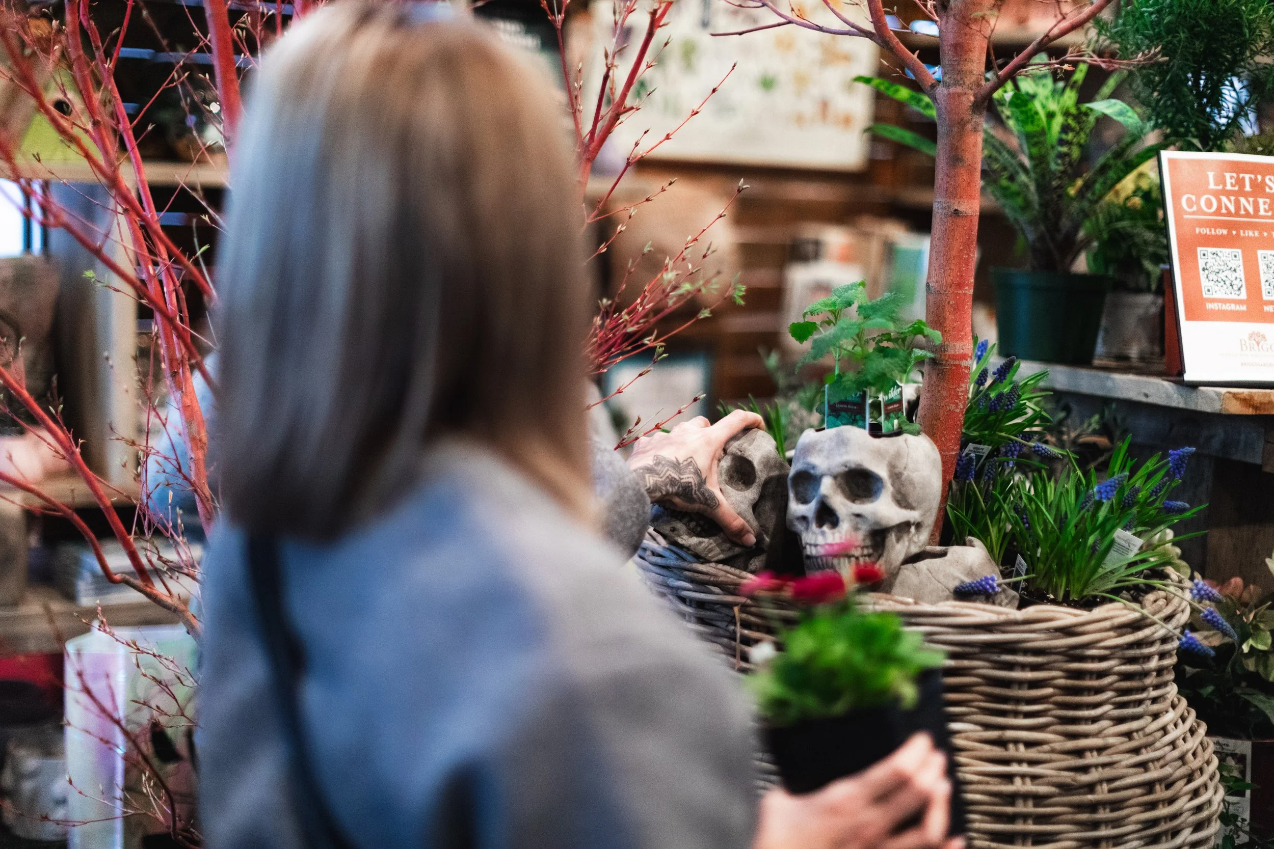 Bloom PVD 2025 WEB-101.jpg