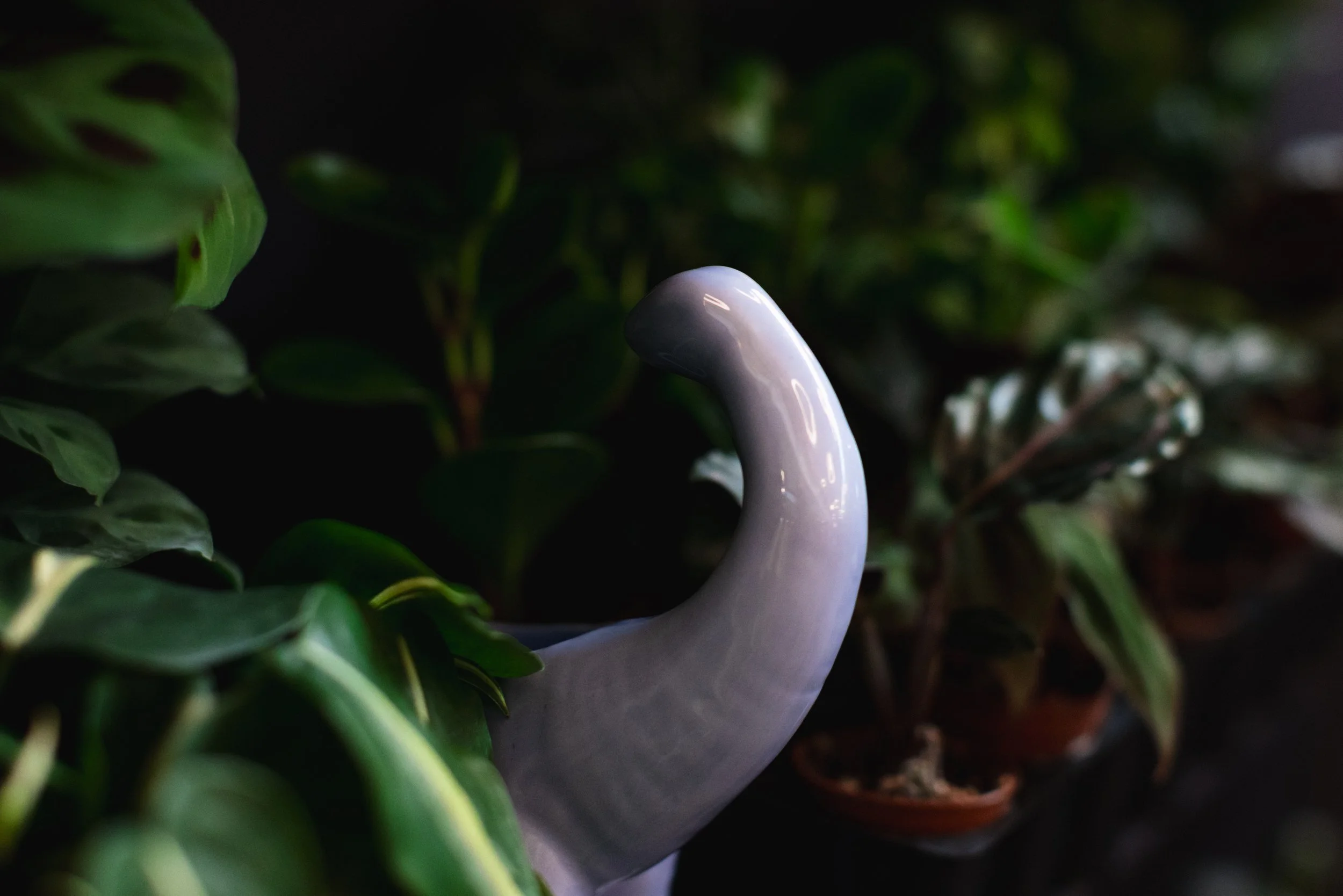 Bloom BTV 2025 WEB-141.jpg