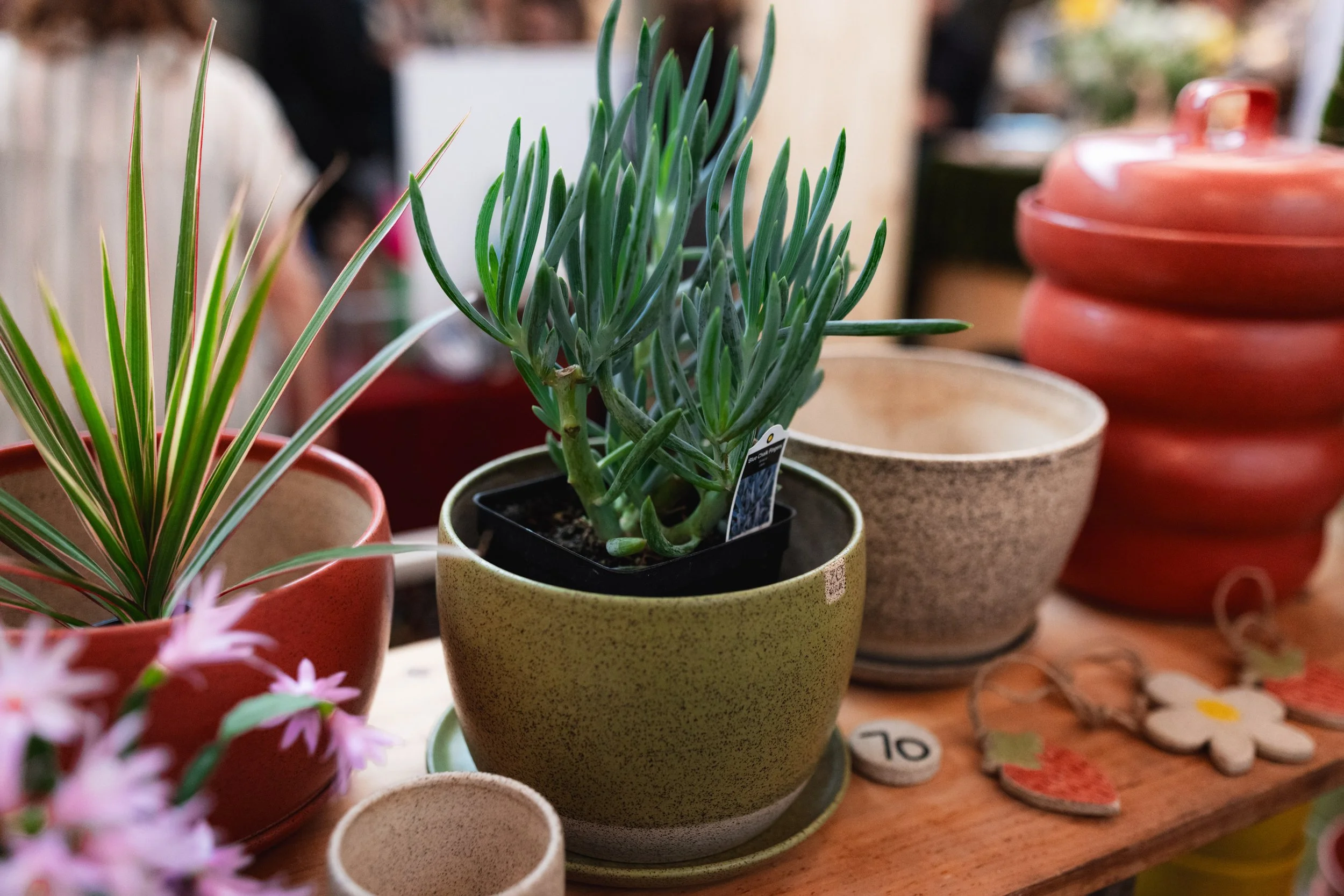 Bloom BTV 2025 WEB-213.jpg