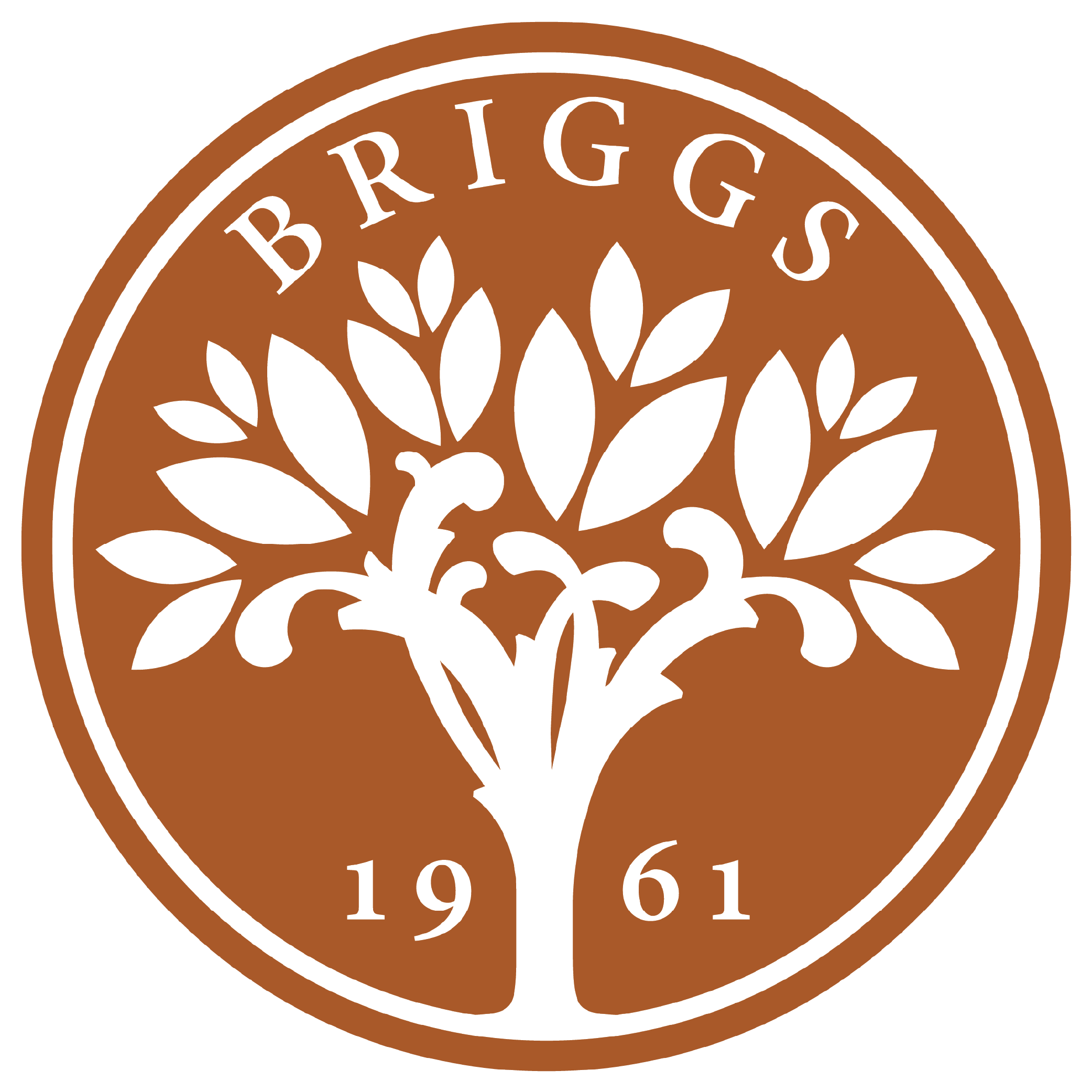 briggs logo.png