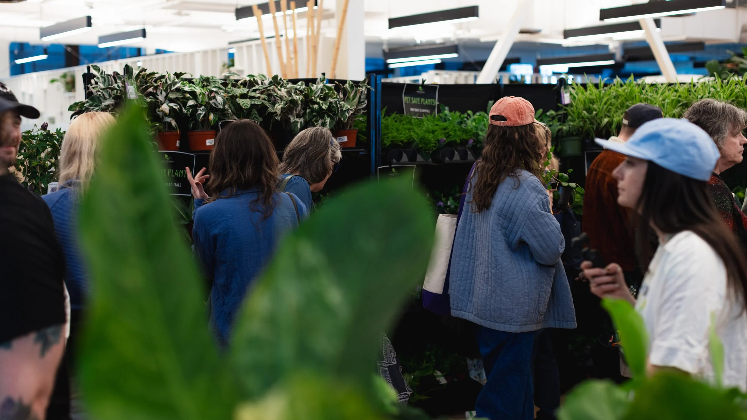 Bloom BTV 2025 WEB-143.jpg