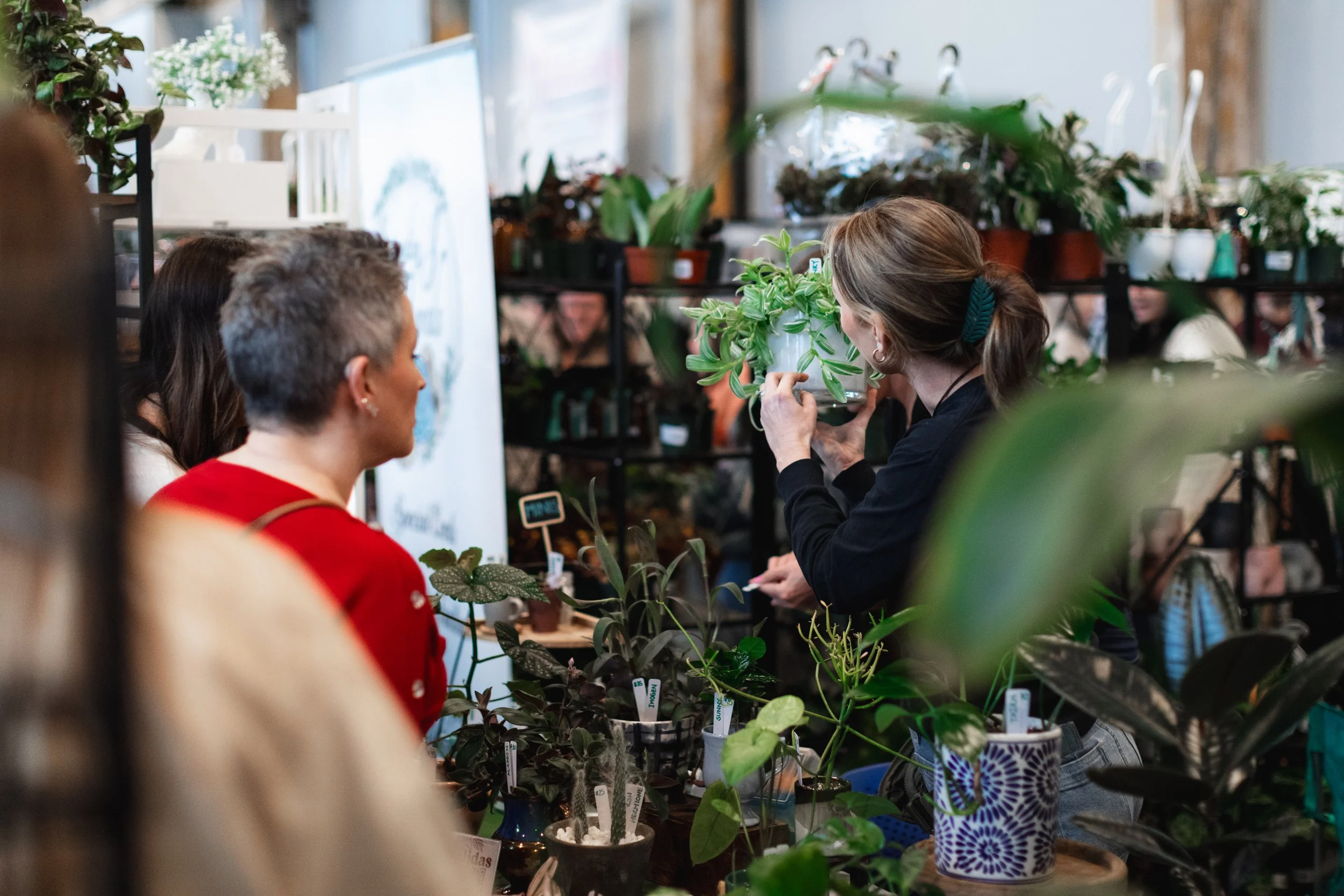 Bloom PVD 2025 WEB-44.jpg