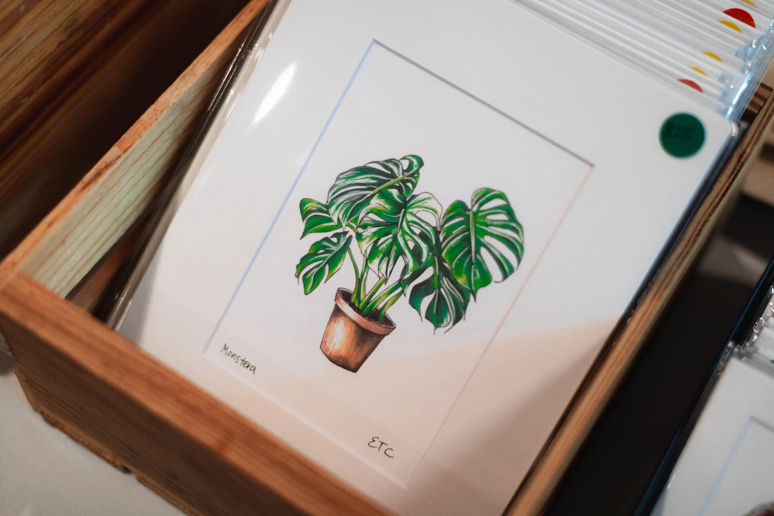 Bloom BTV 2025 WEB-17.jpg