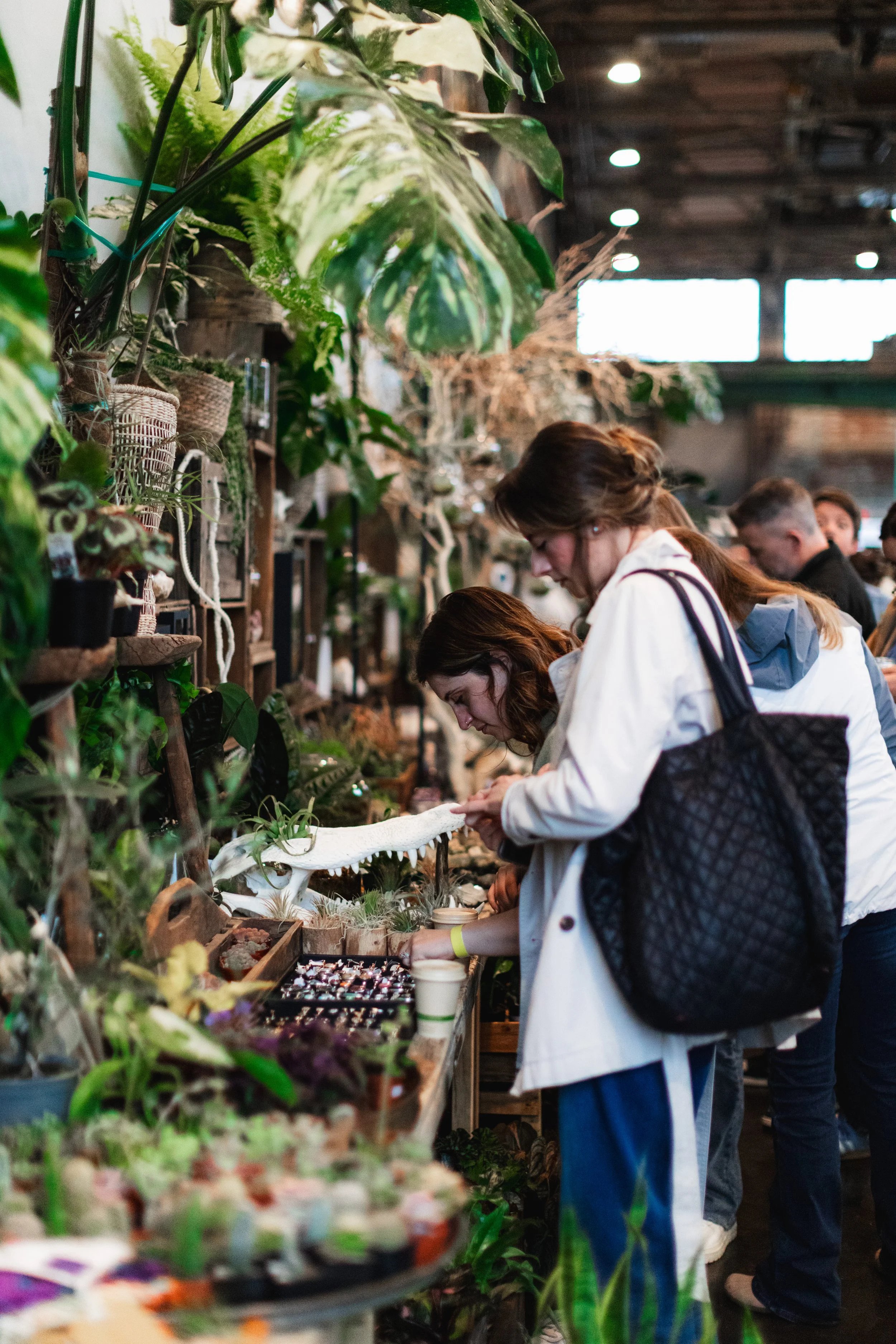 Bloom PVD 2025 WEB-87.jpg