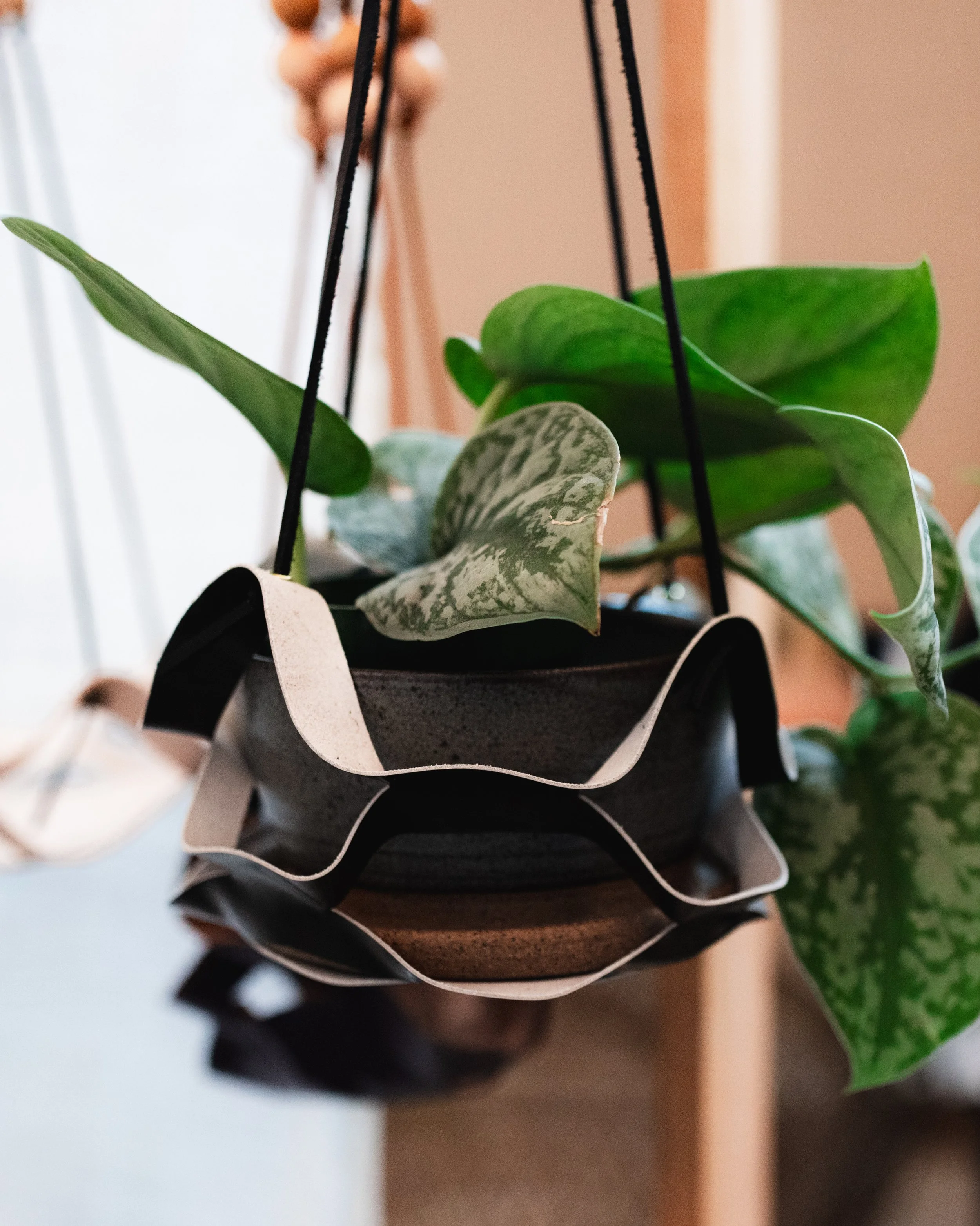 Bloom BTV 2025 WEB-218.jpg