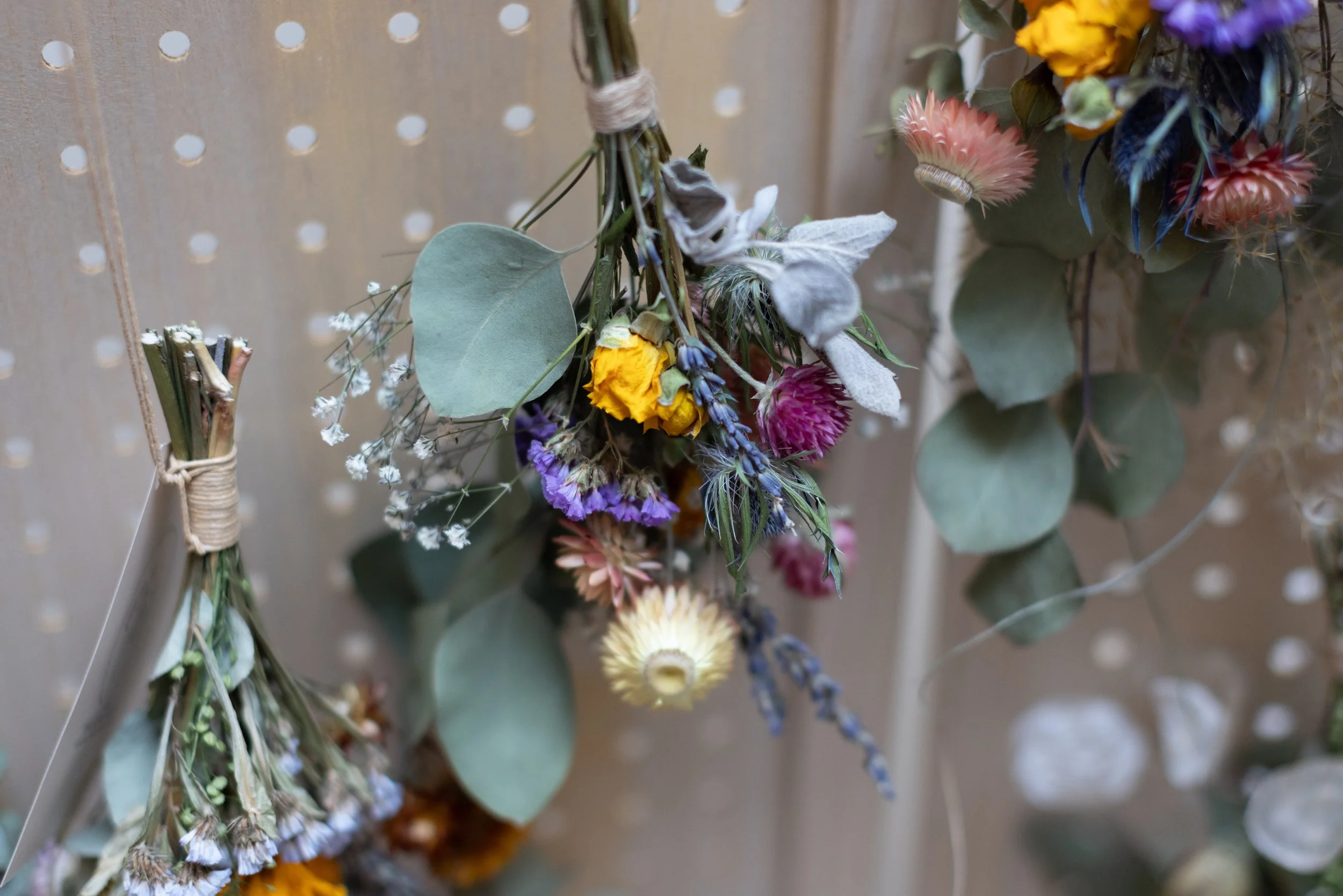 Bloom BTV 2025 WEB-198.jpg