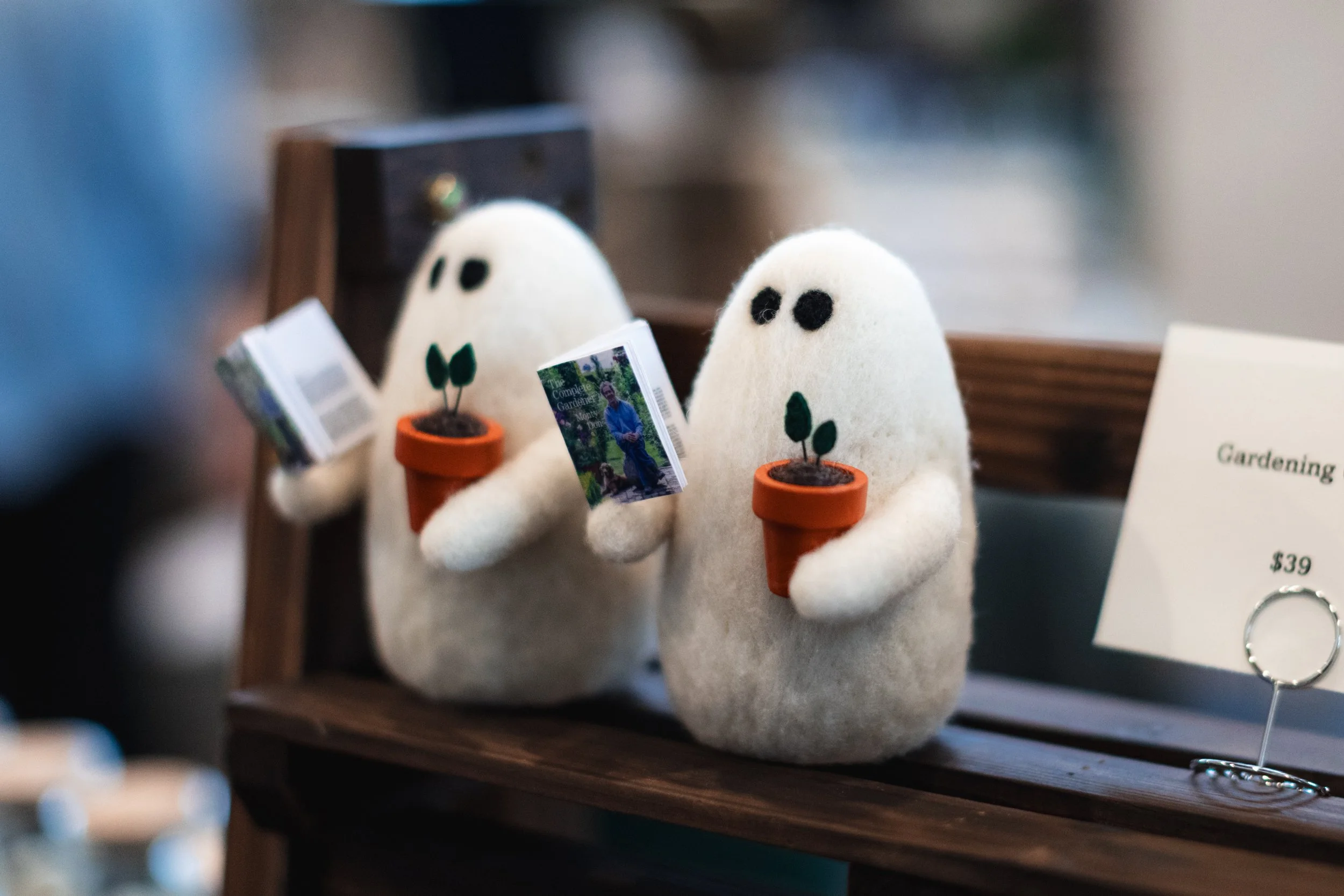 Bloom PVD 2025 WEB-4.jpg