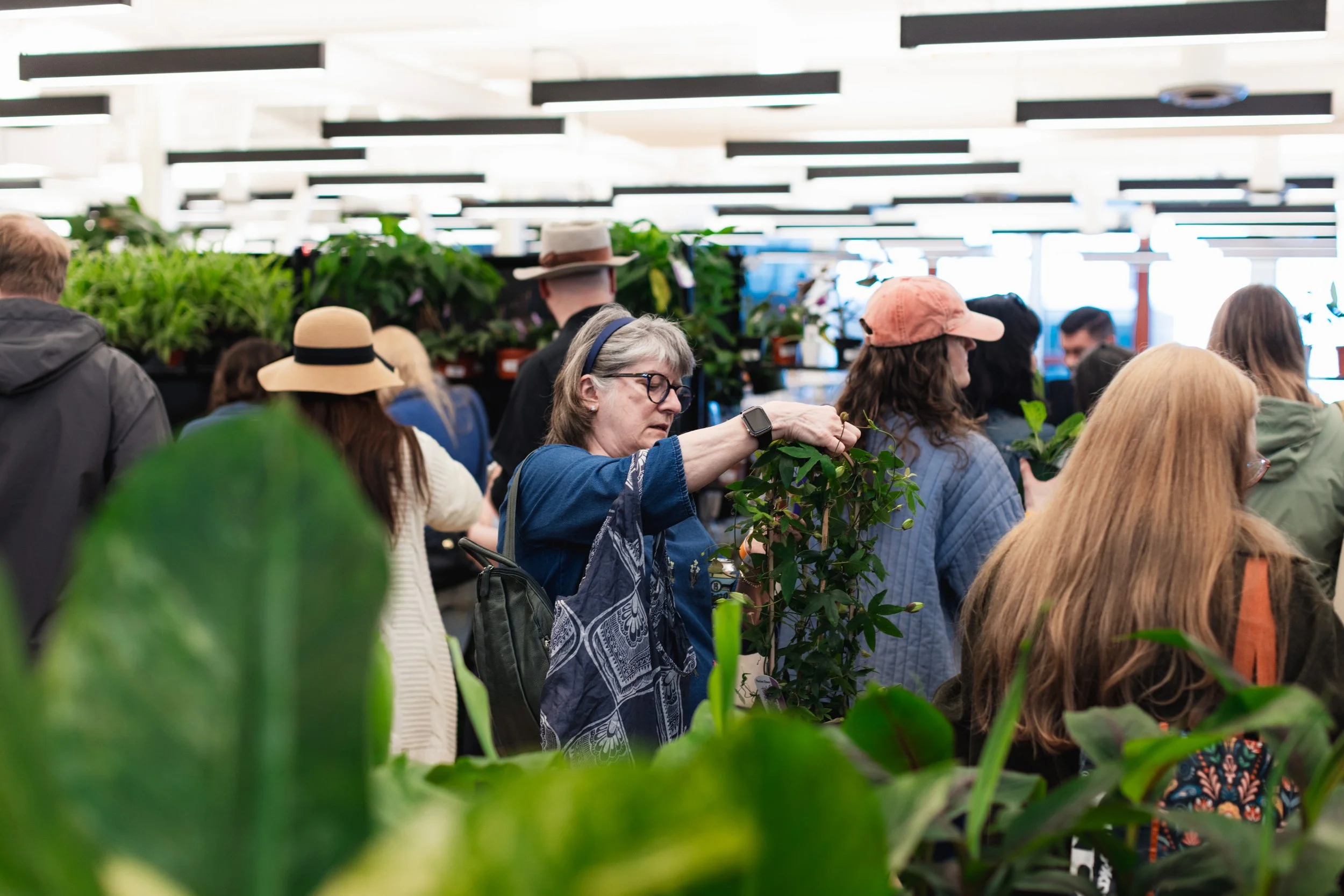 Bloom BTV 2025 WEB-145.jpg