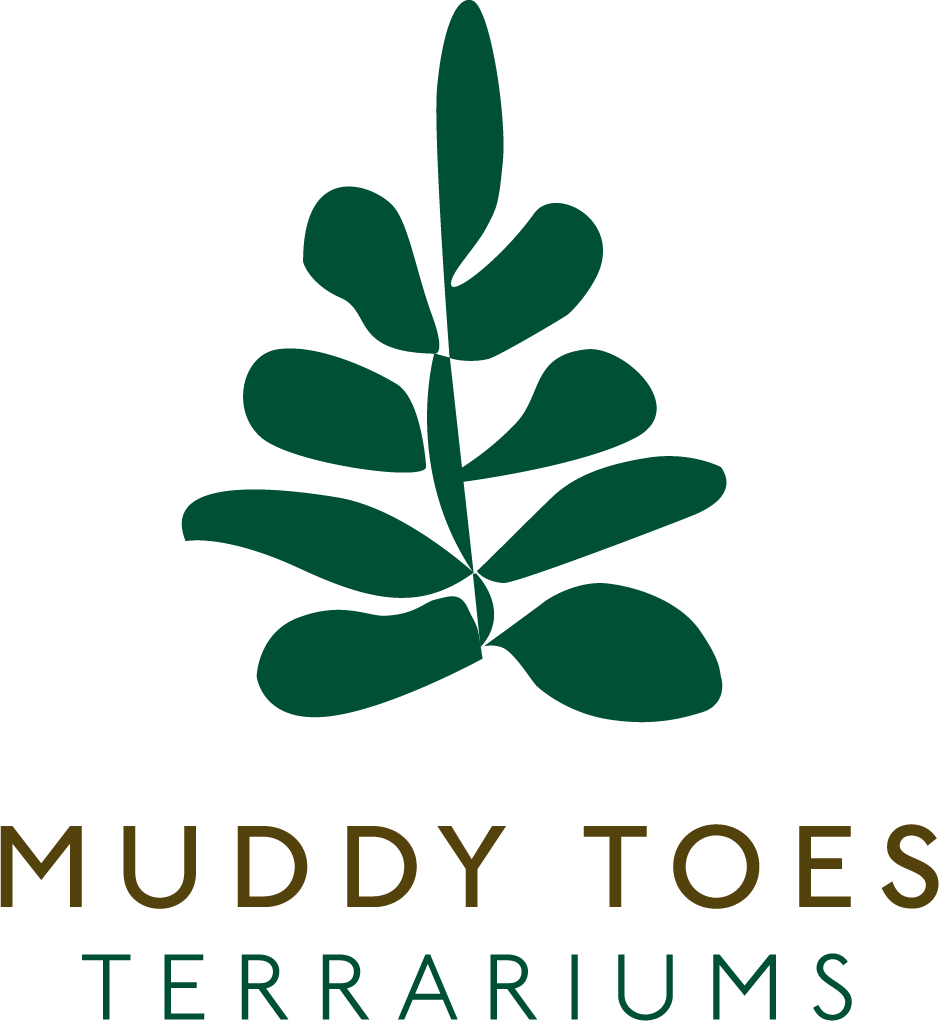 MuddyToes-LogoVF2-Color-no-frame (1).png