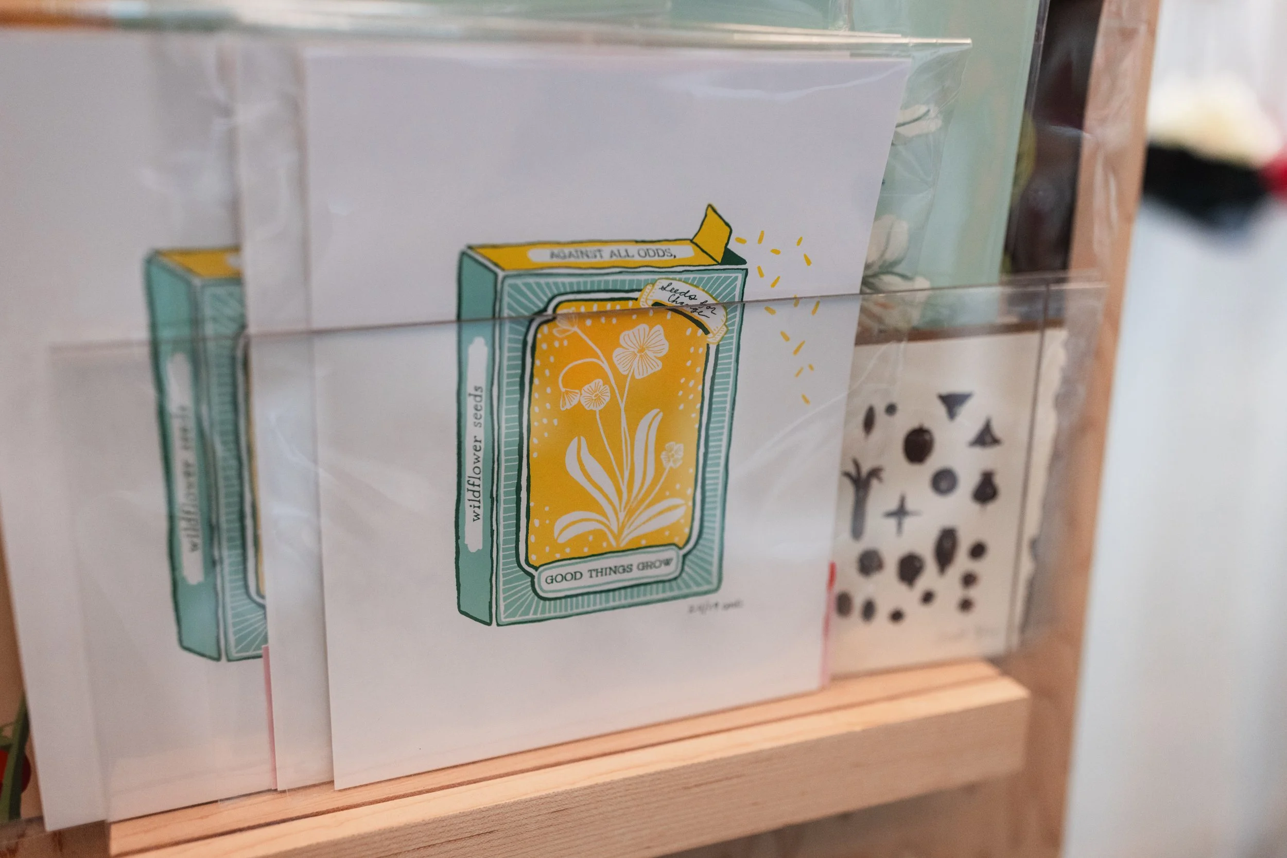 Bloom BTV 2025 WEB-216.jpg