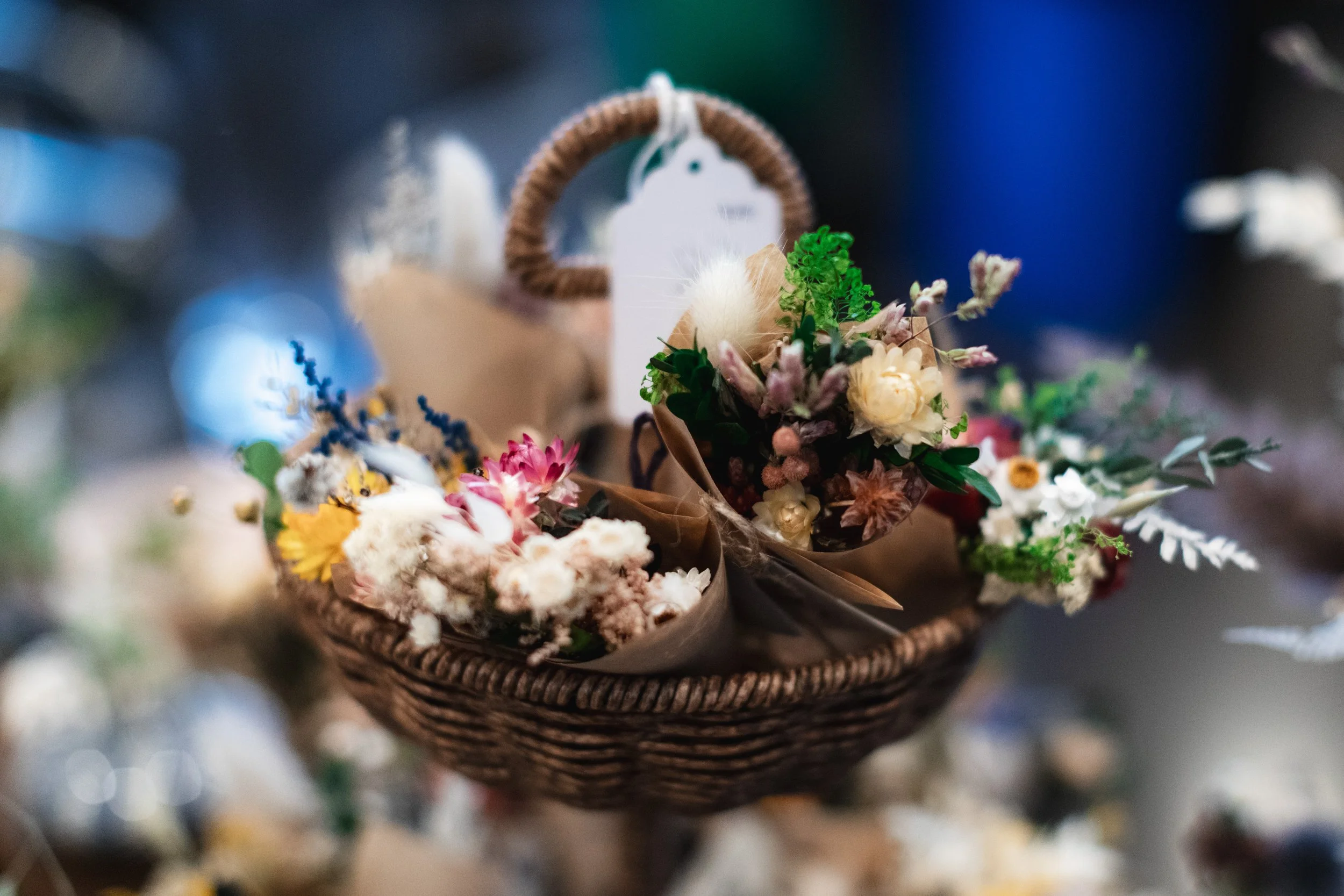 Bloom PVD 2025 WEB-61.jpg