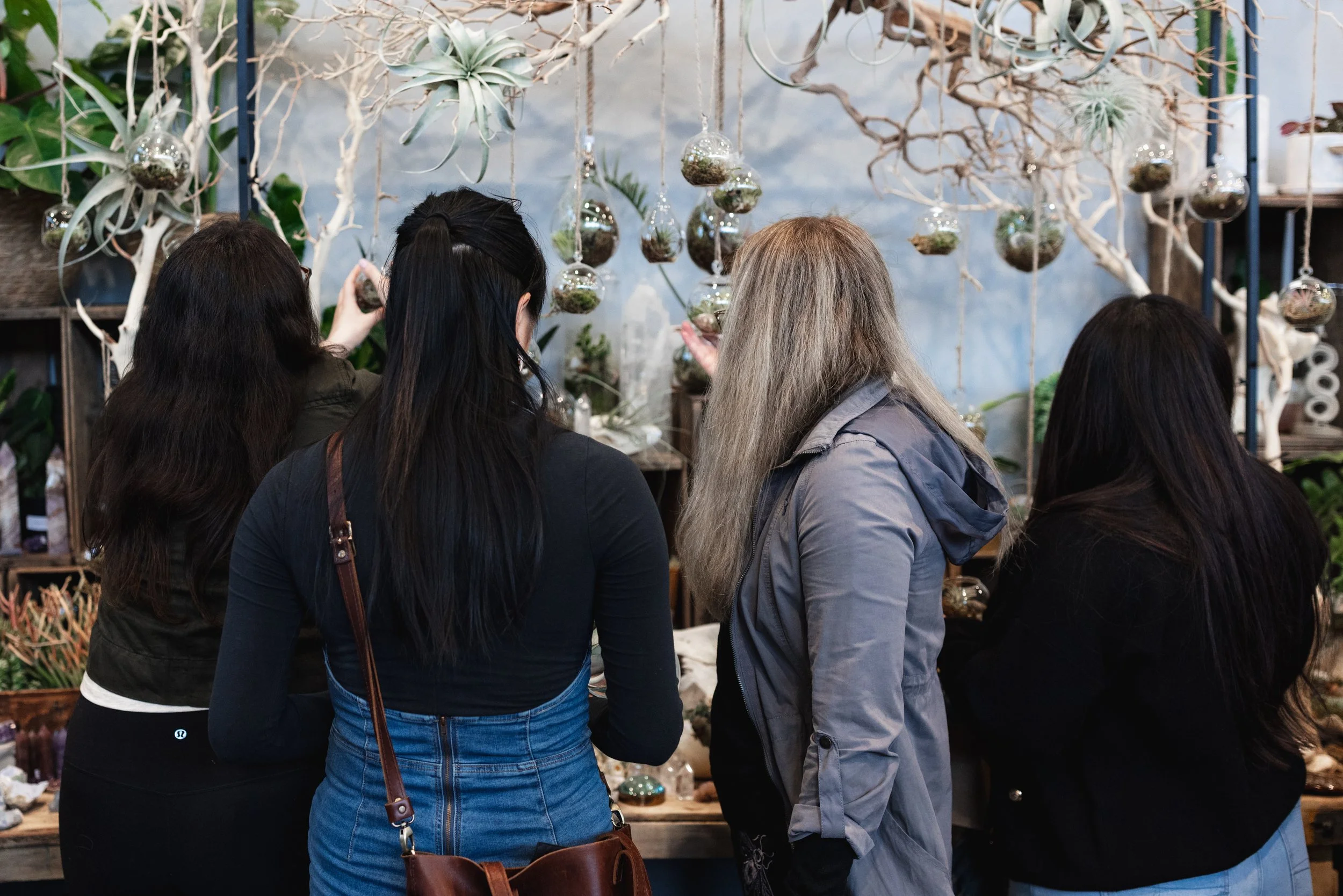 Bloom PVD 2025 WEB-199.jpg