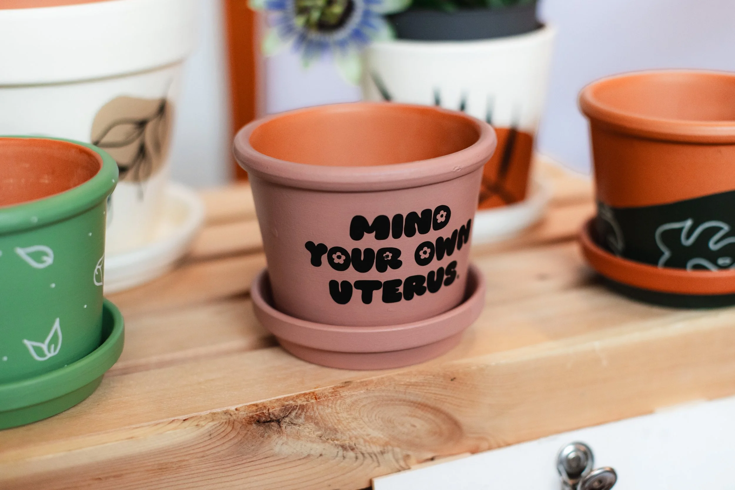 Bloom BTV 2025 WEB-89.jpg