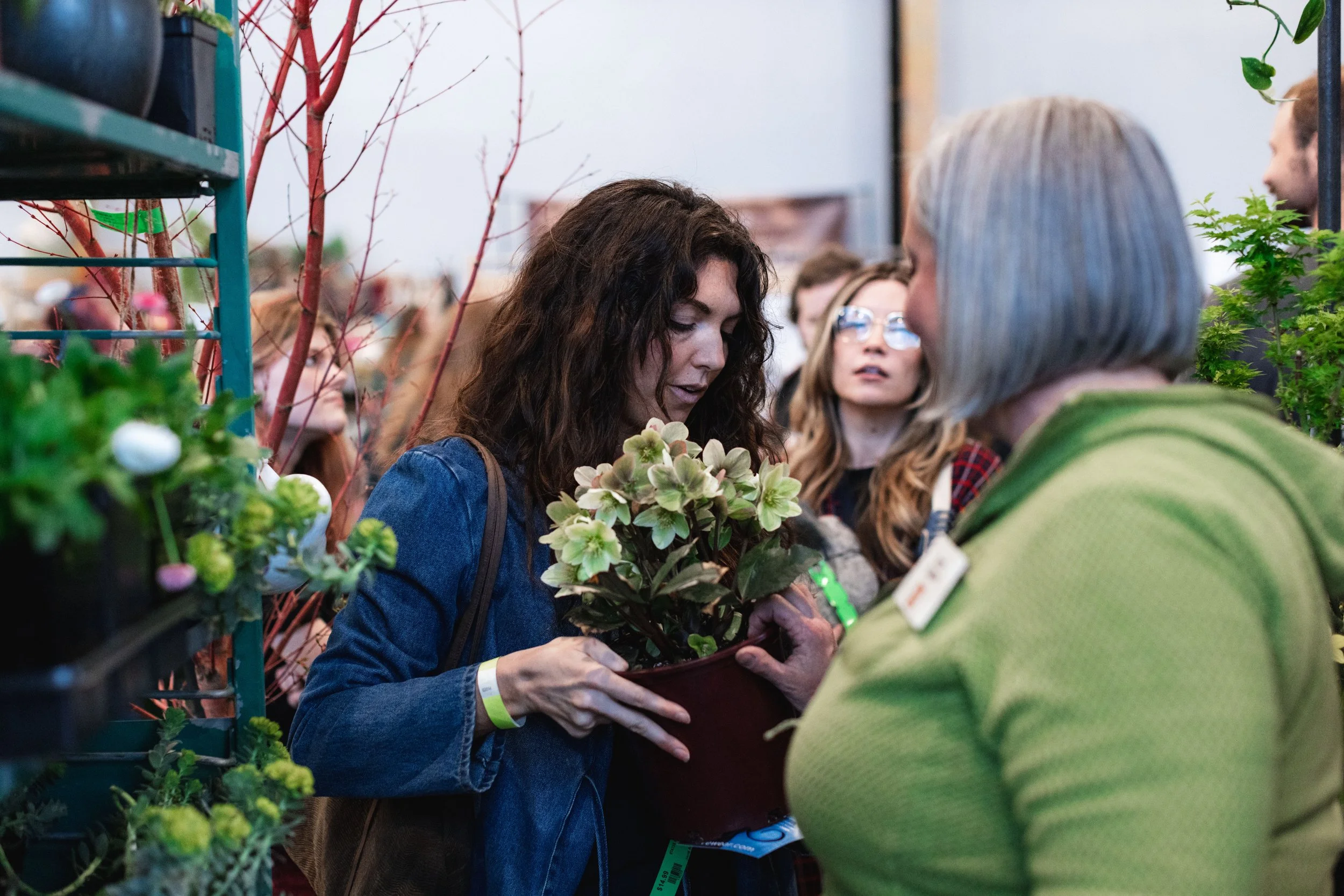 Bloom PVD 2025 WEB-180.jpg