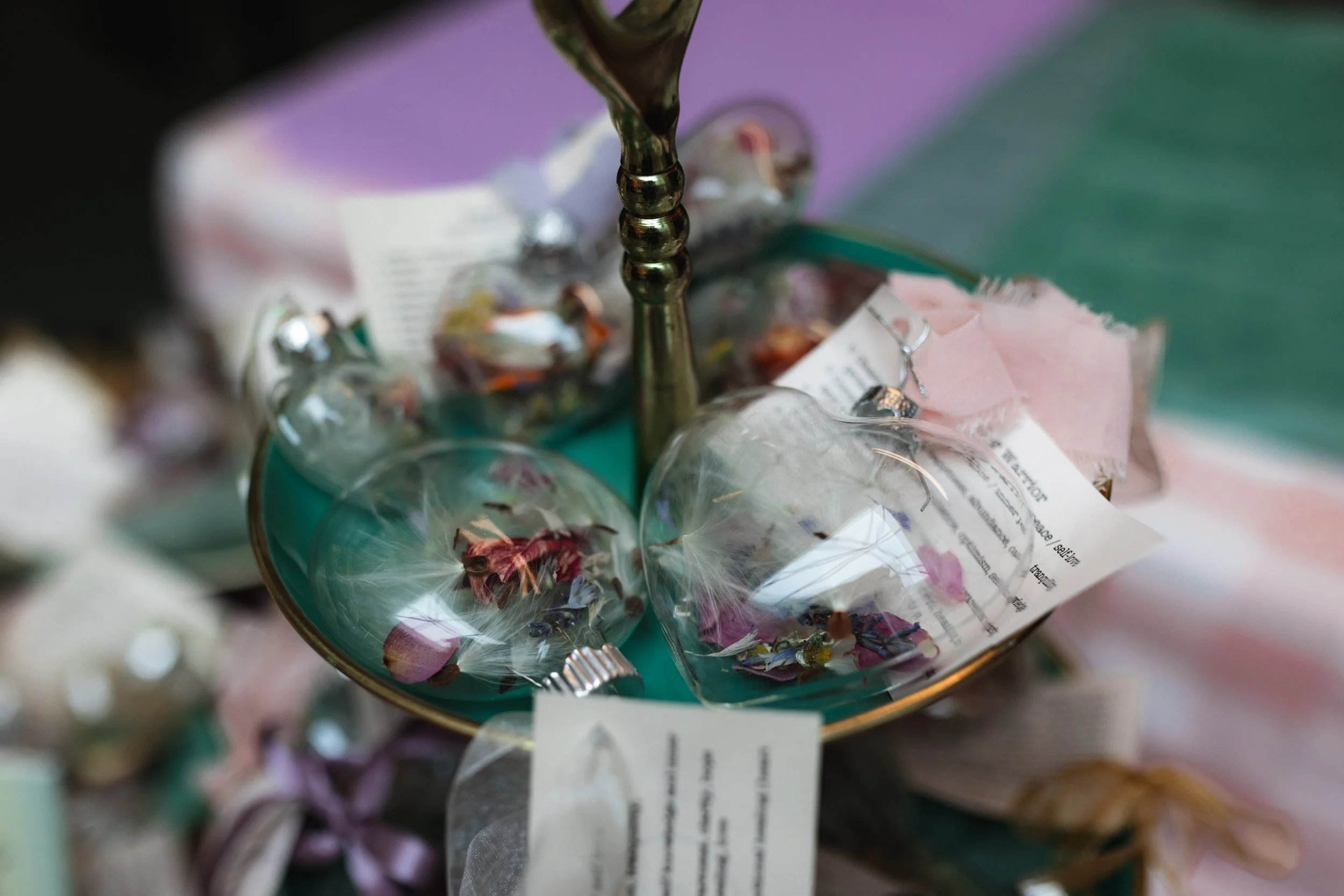 Bloom BTV 2025 WEB-224.jpg