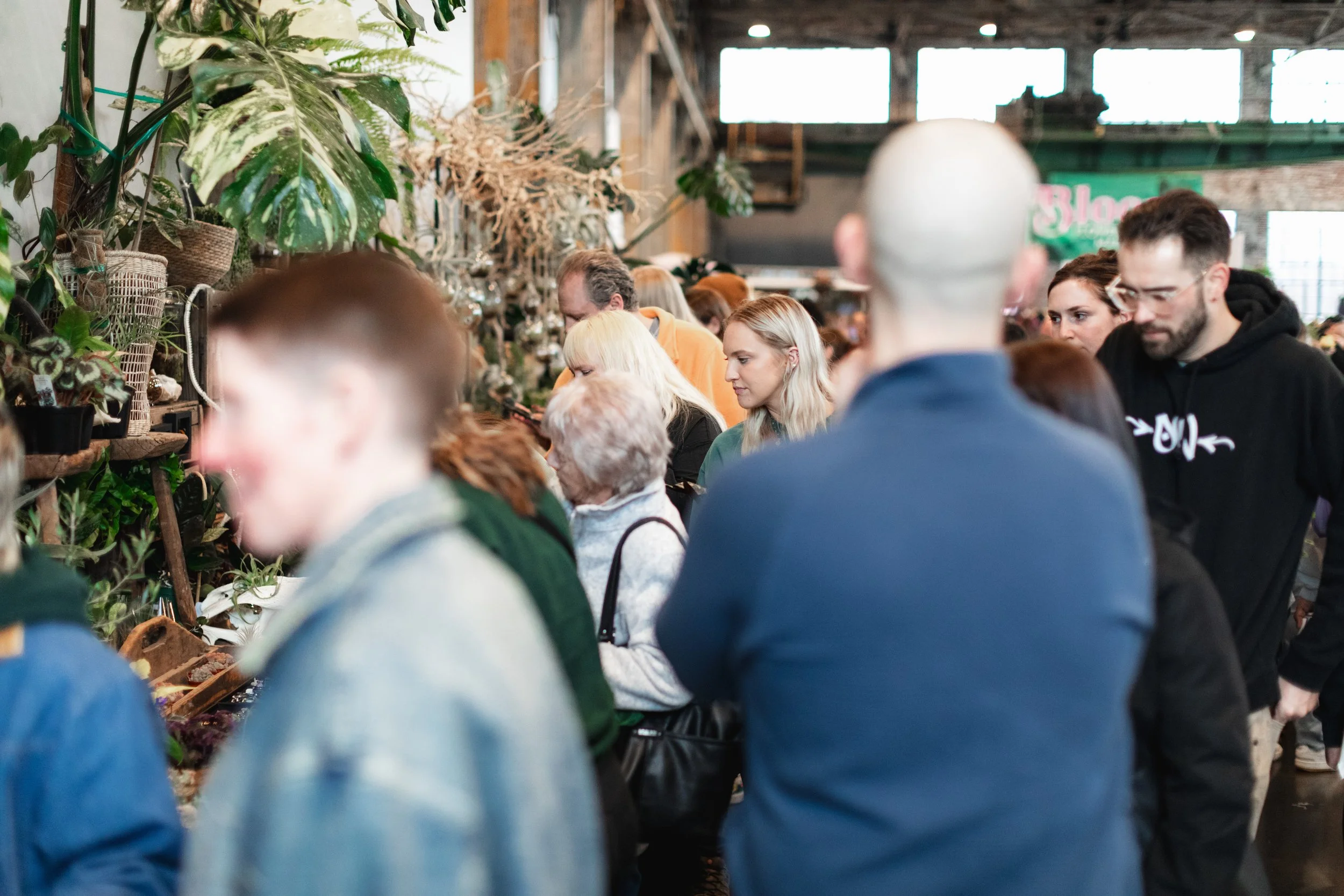 Bloom PVD 2025 WEB-81.jpg