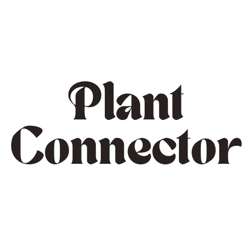 Blue And Pink Modern Retro Brand Logo (1).png