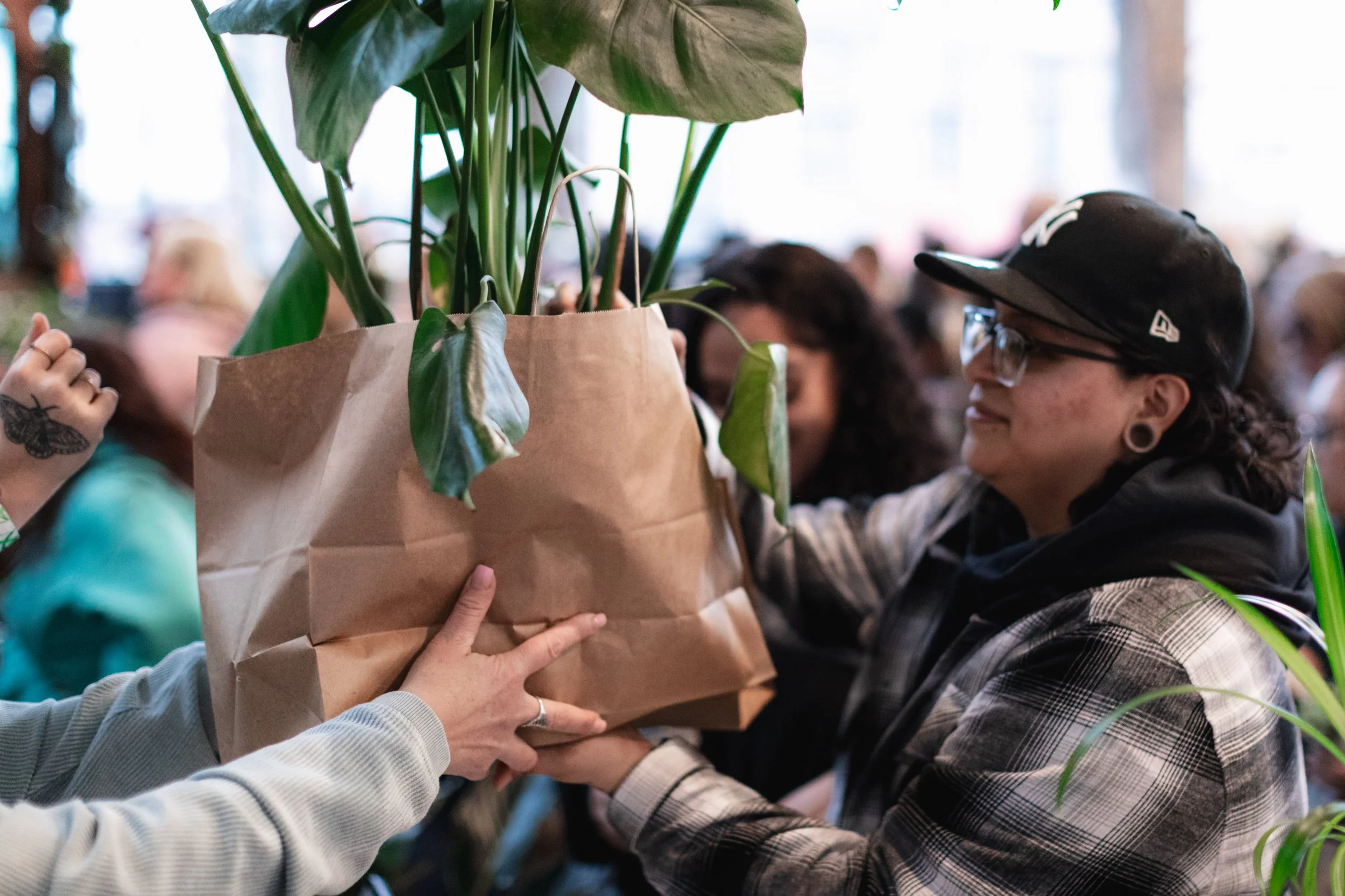 Bloom PVD 2025 WEB-71.jpg