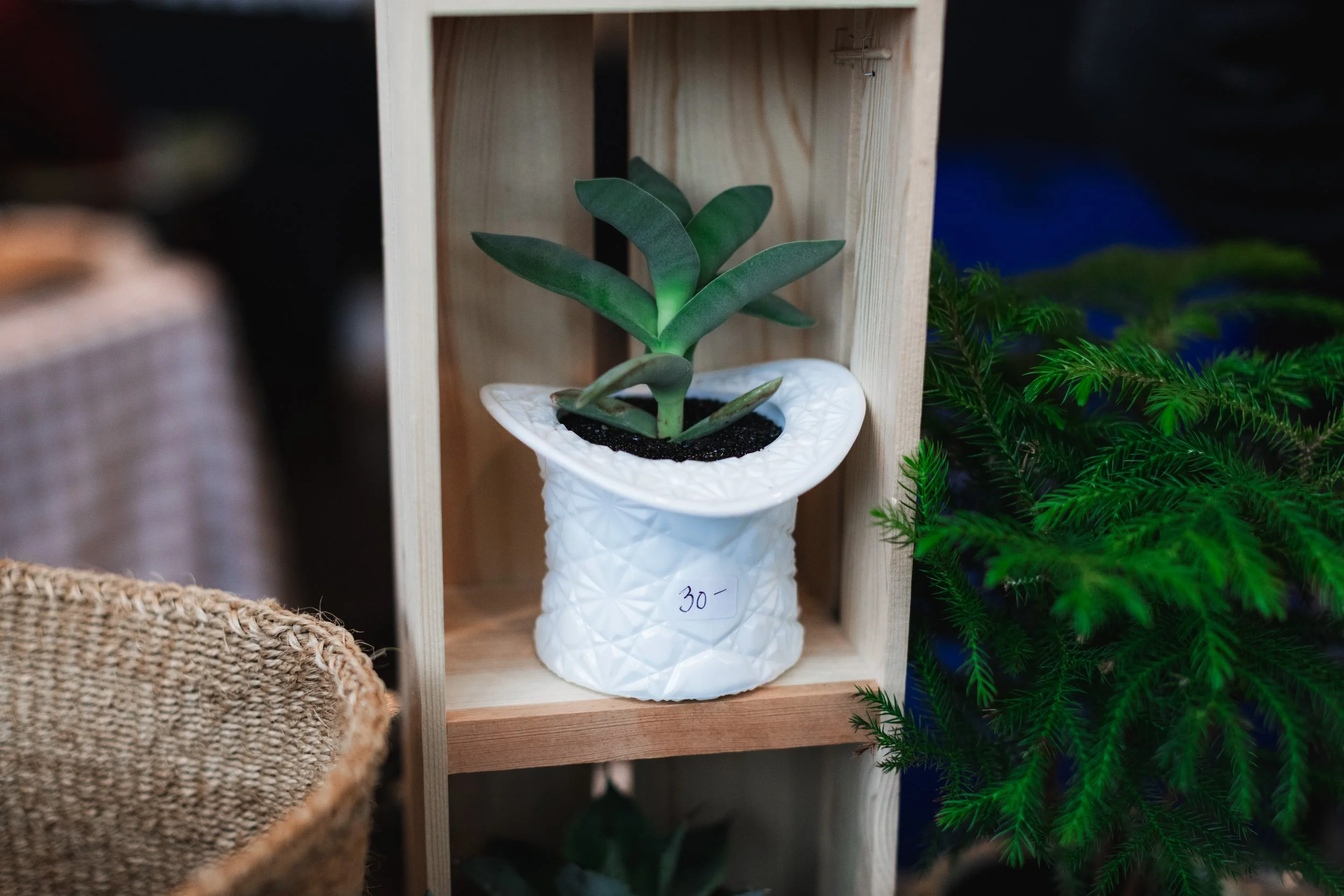 Bloom PVD 2025 WEB-212.jpg