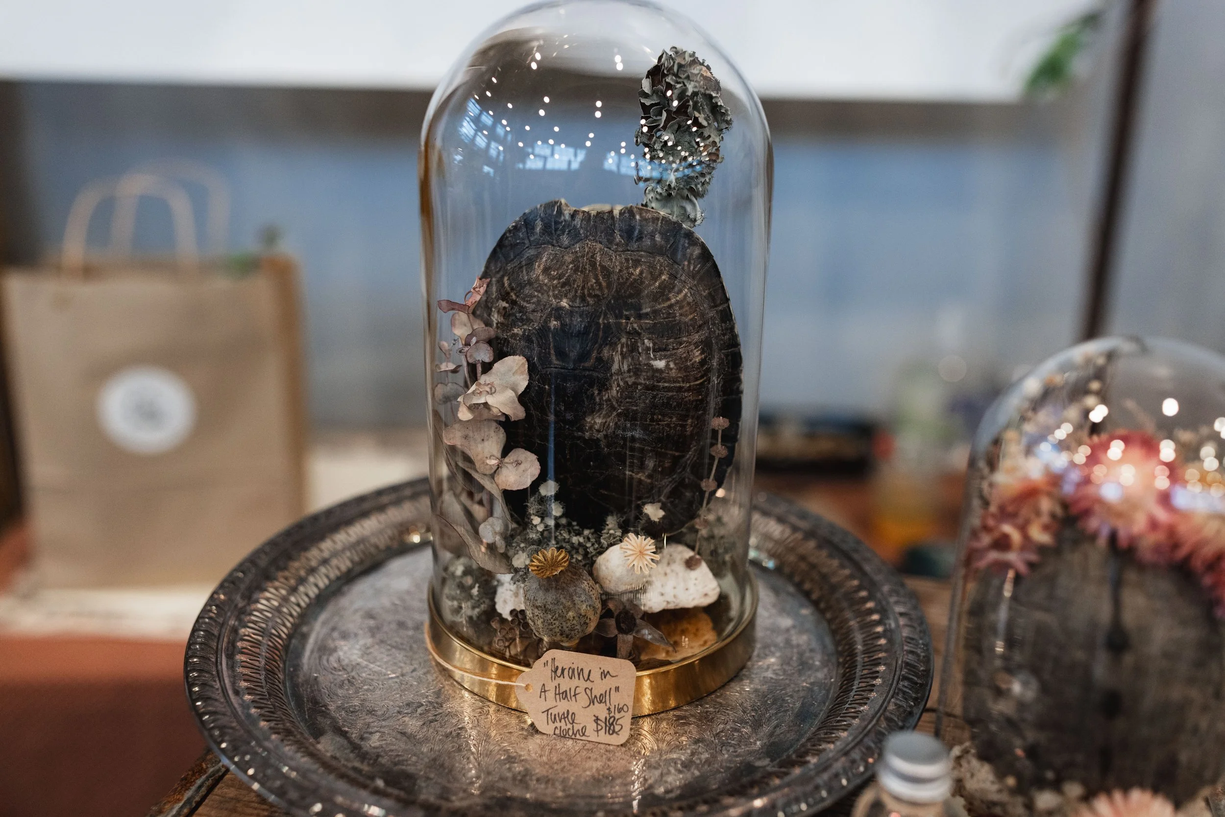 Bloom PVD 2025 WEB-186.jpg