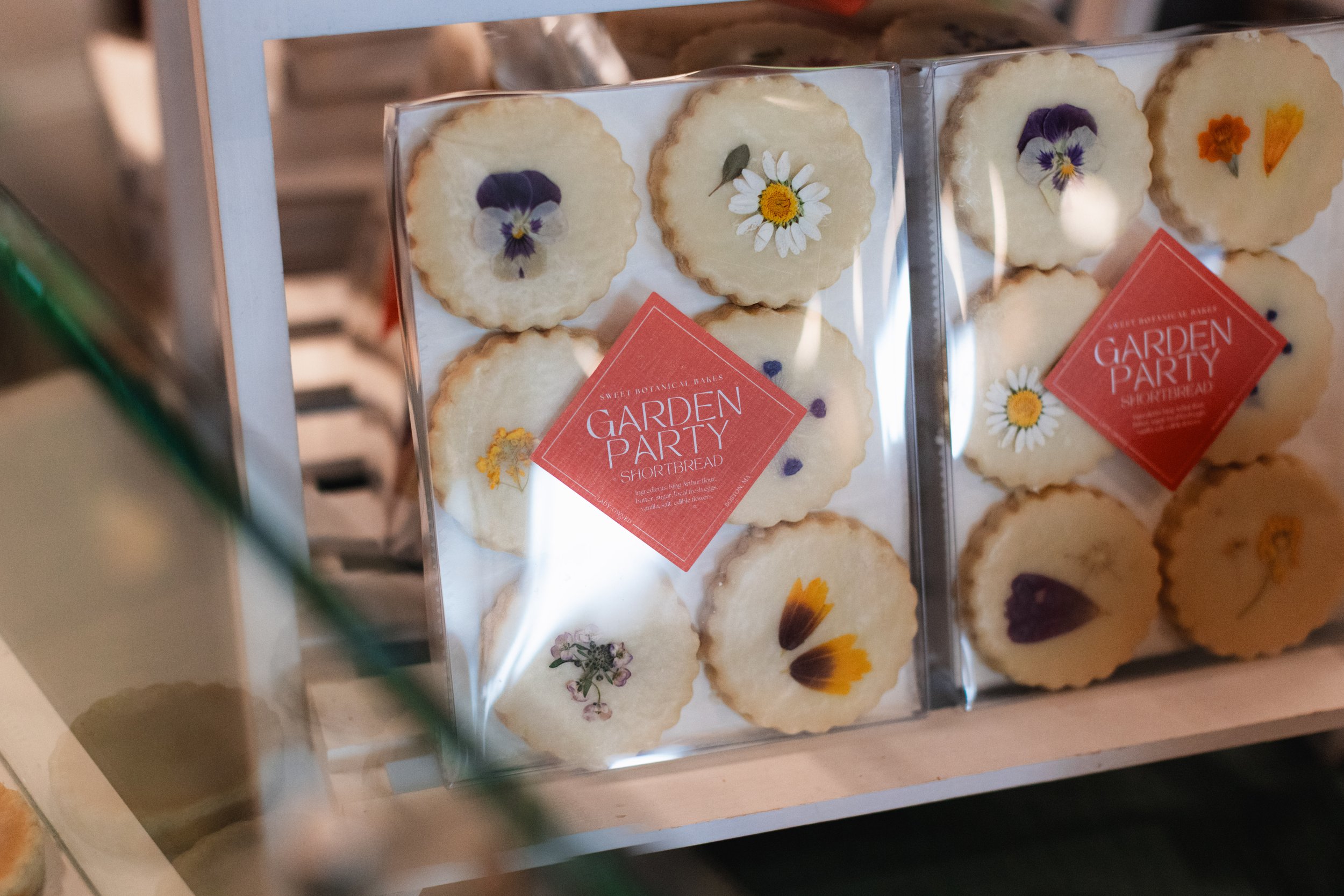 Bloom BTV 2025 WEB-173.jpg