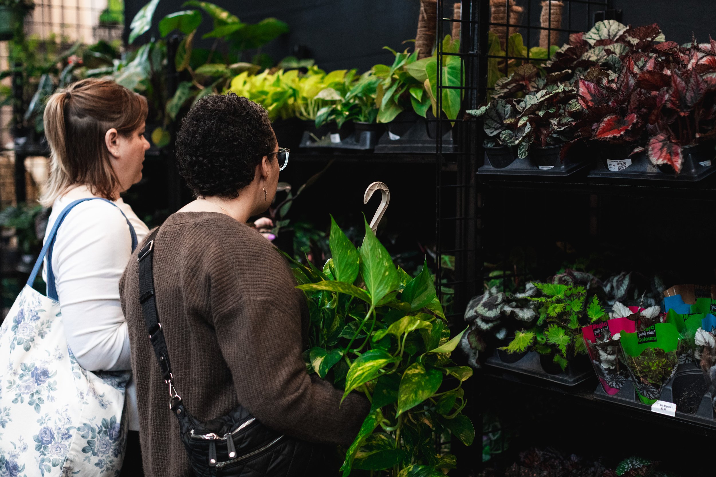 Bloom PVD 2025 WEB-47.jpg