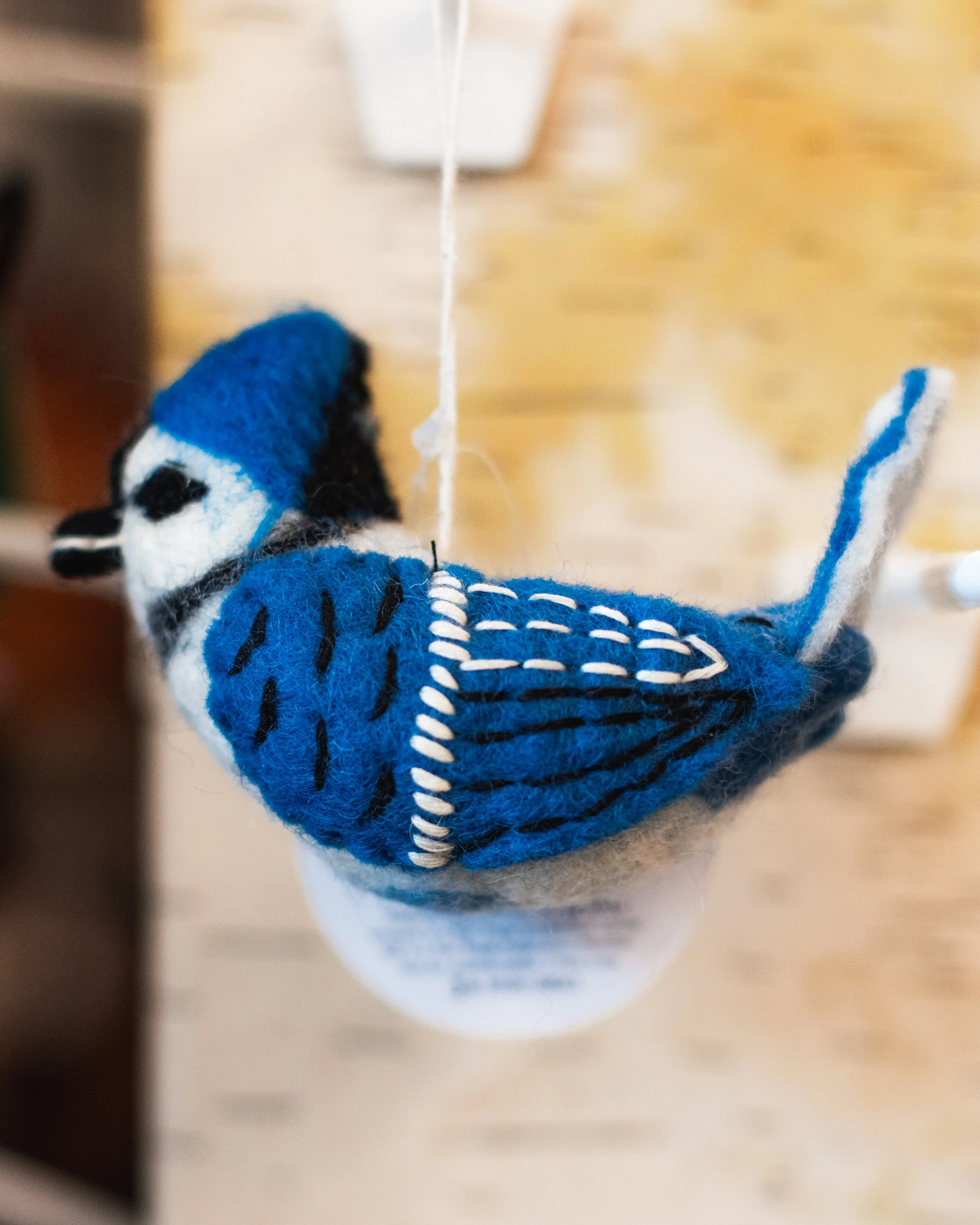 Bloom BTV 2025 WEB-125.jpg