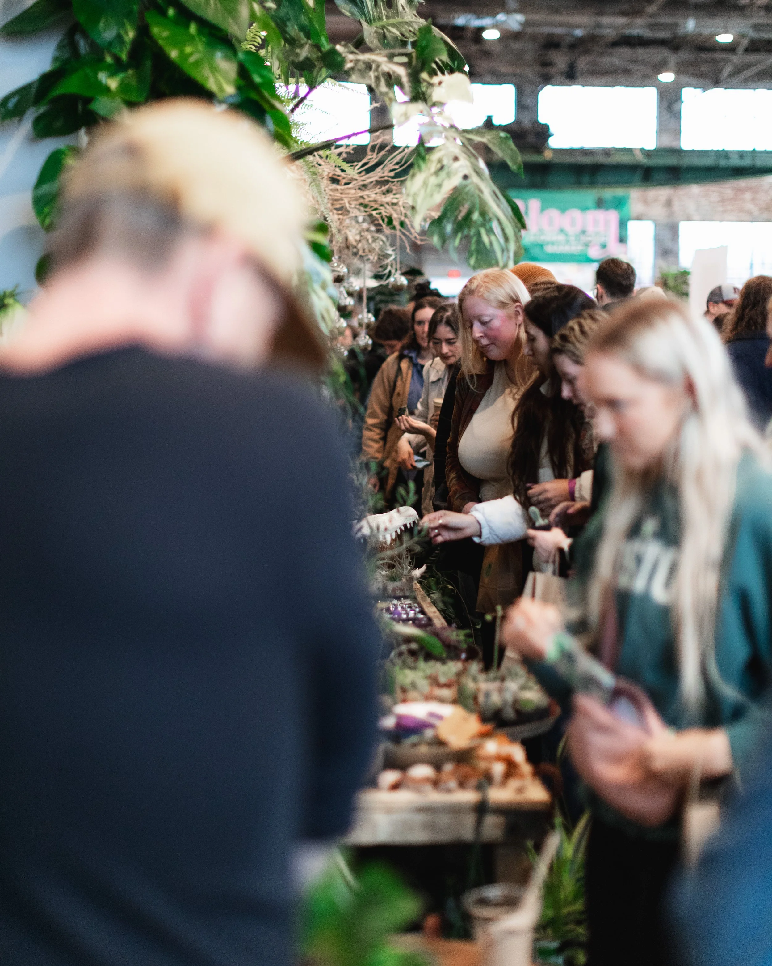 Bloom PVD 2025 WEB-86.jpg