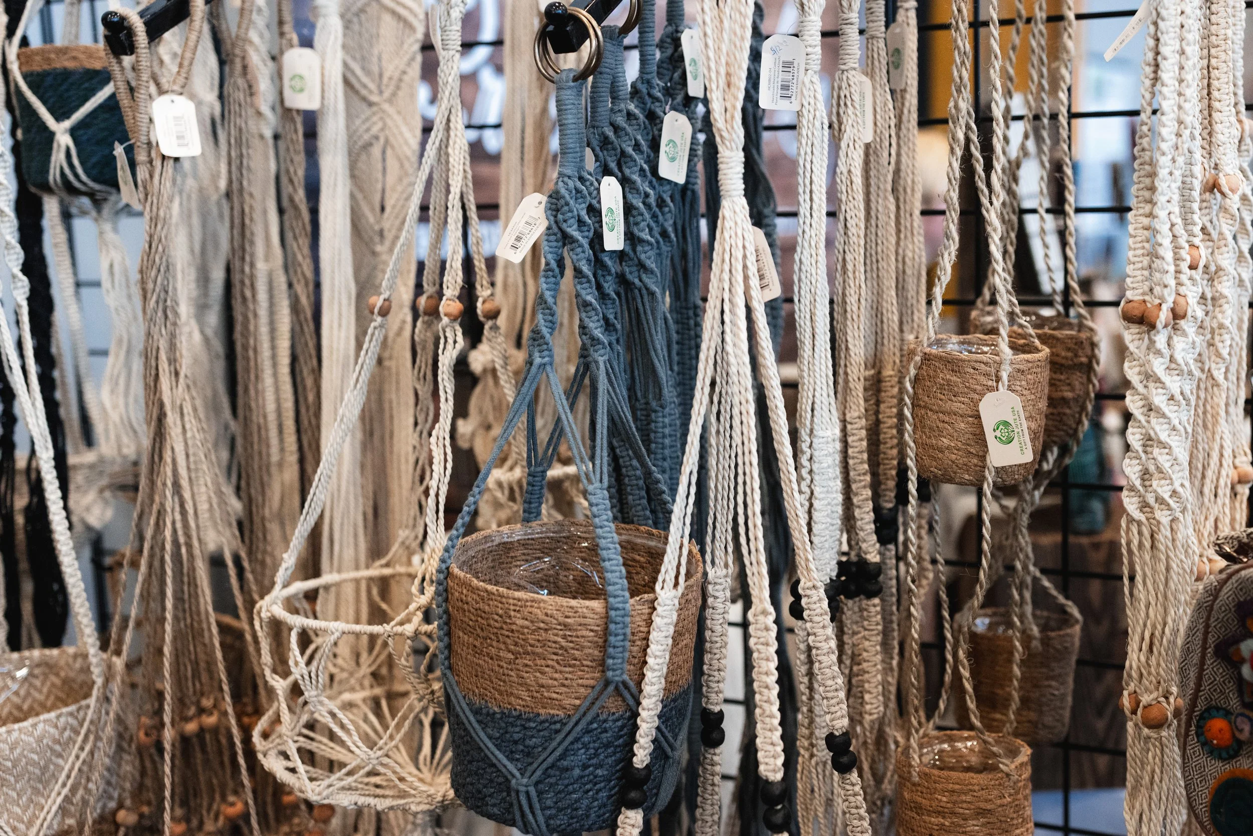 Bloom PVD 2025 WEB-189.jpg