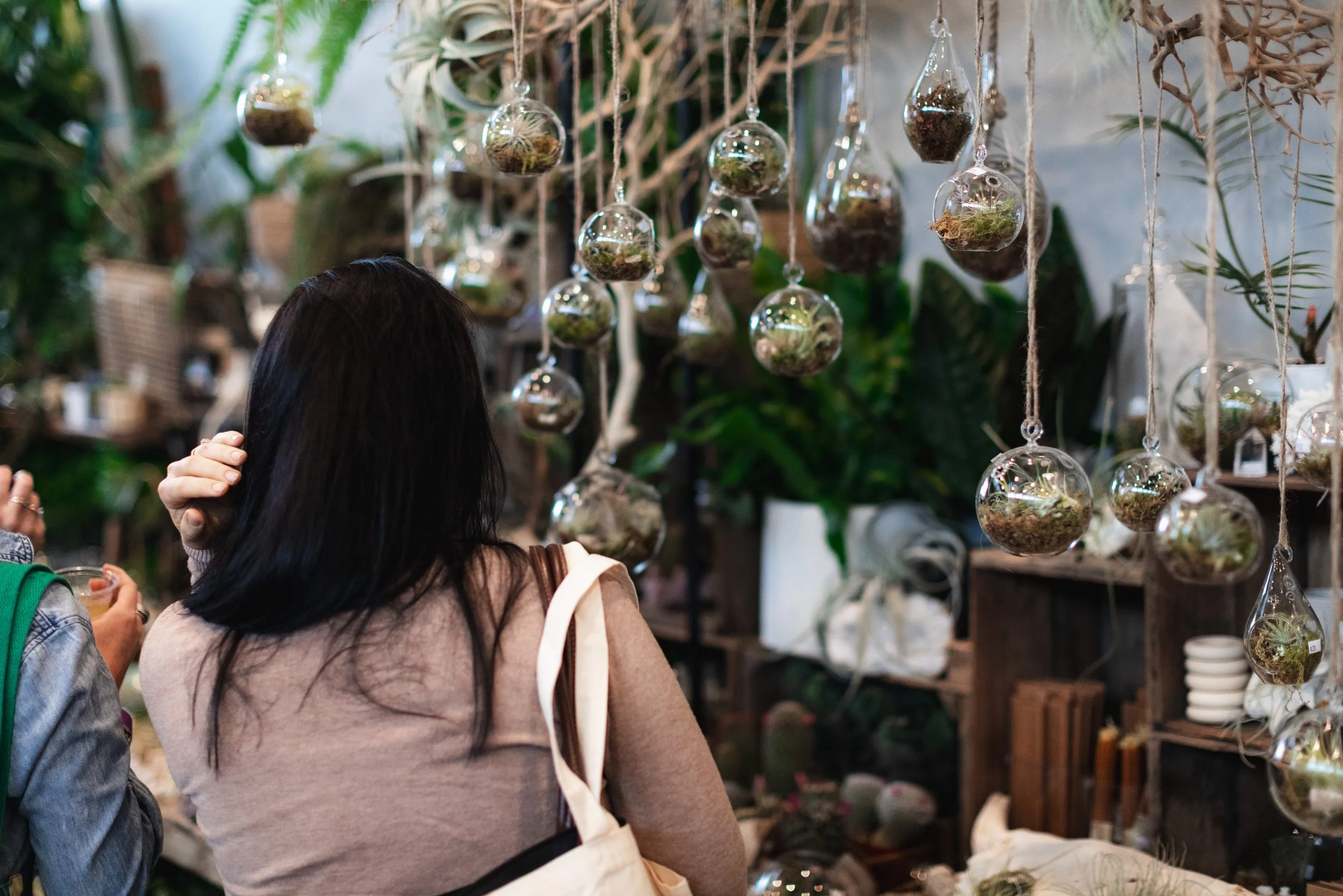 Bloom PVD 2025 WEB-5.jpg