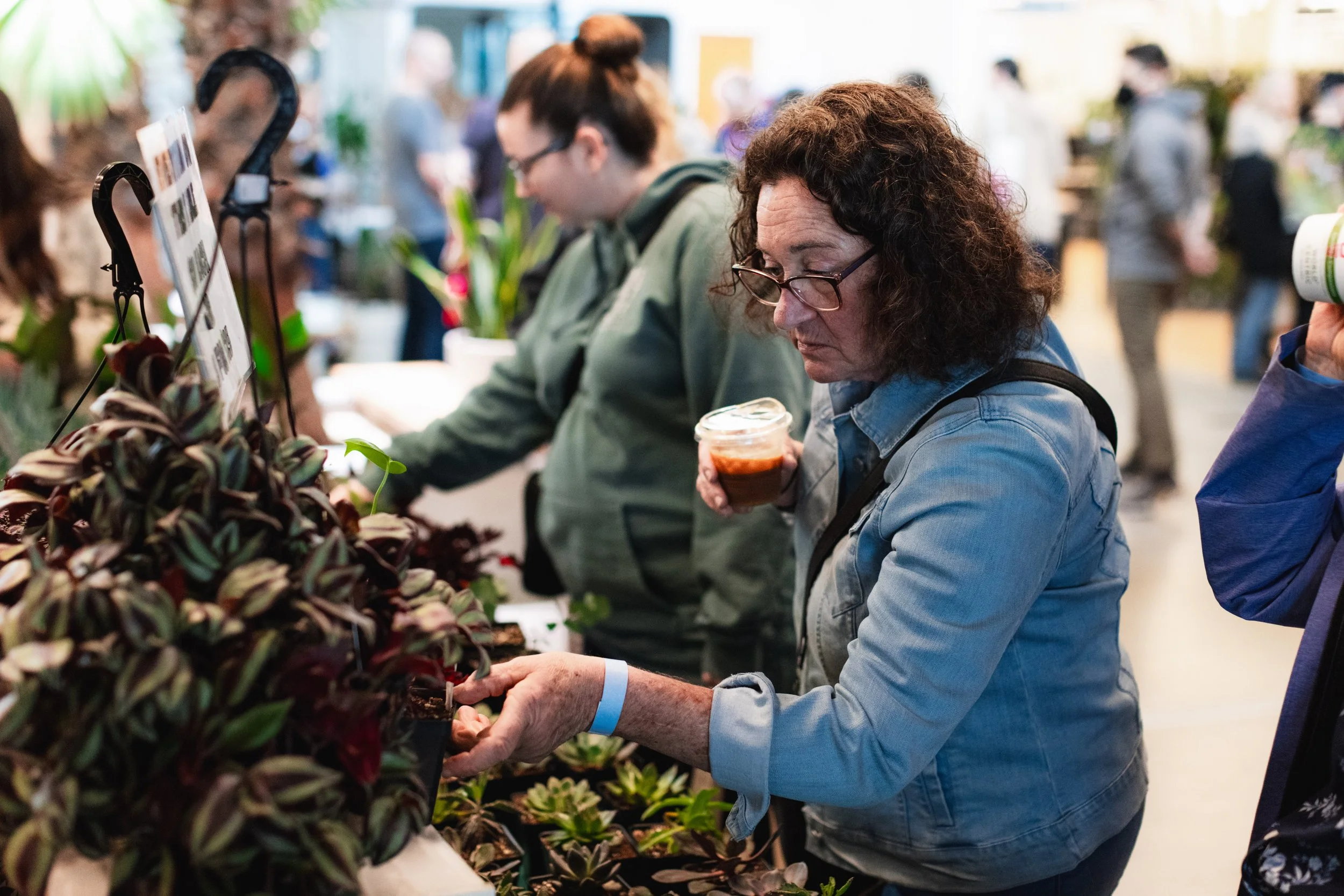 Bloom BTV 2025 WEB-179.jpg