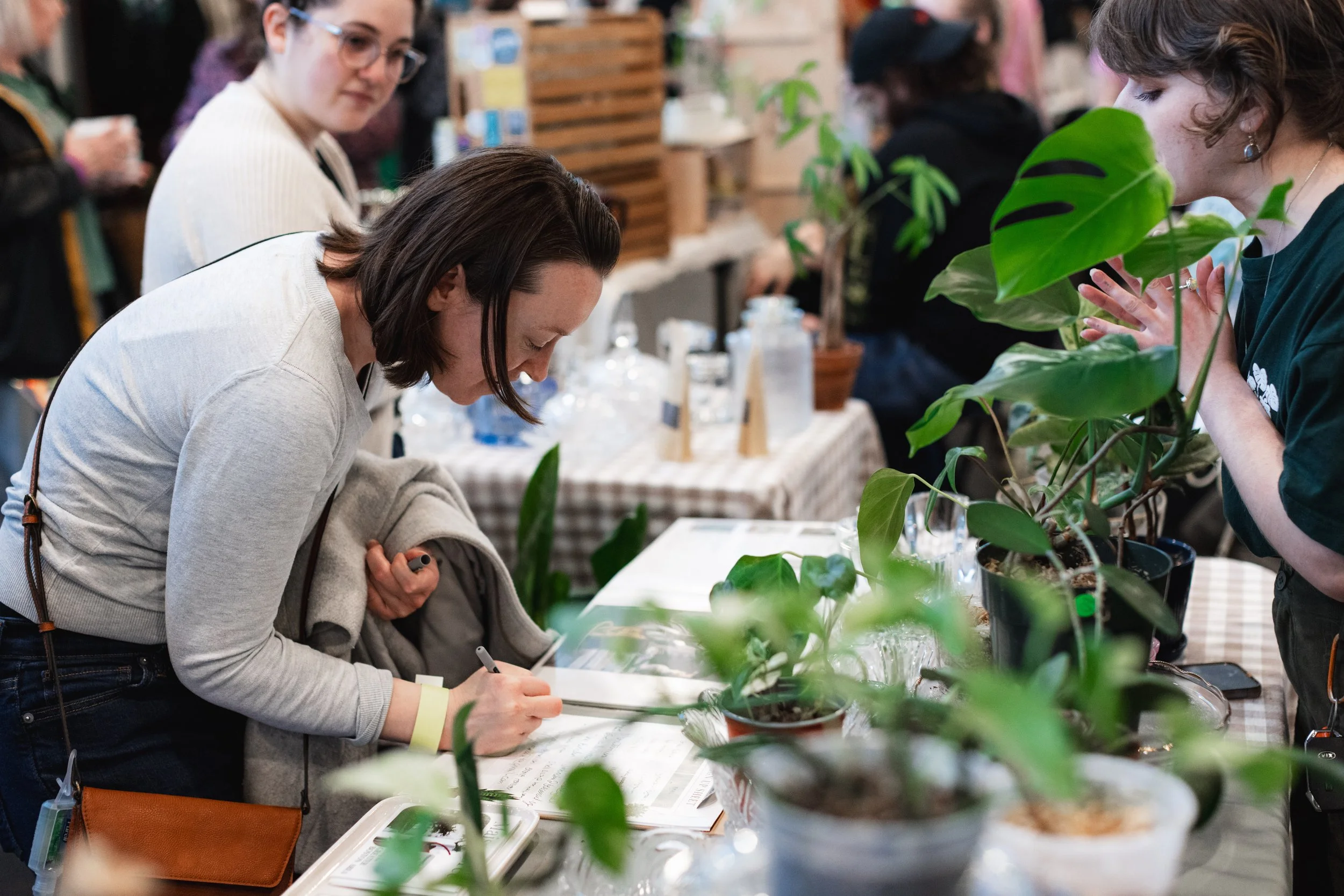 Bloom PVD 2025 WEB-172.jpg