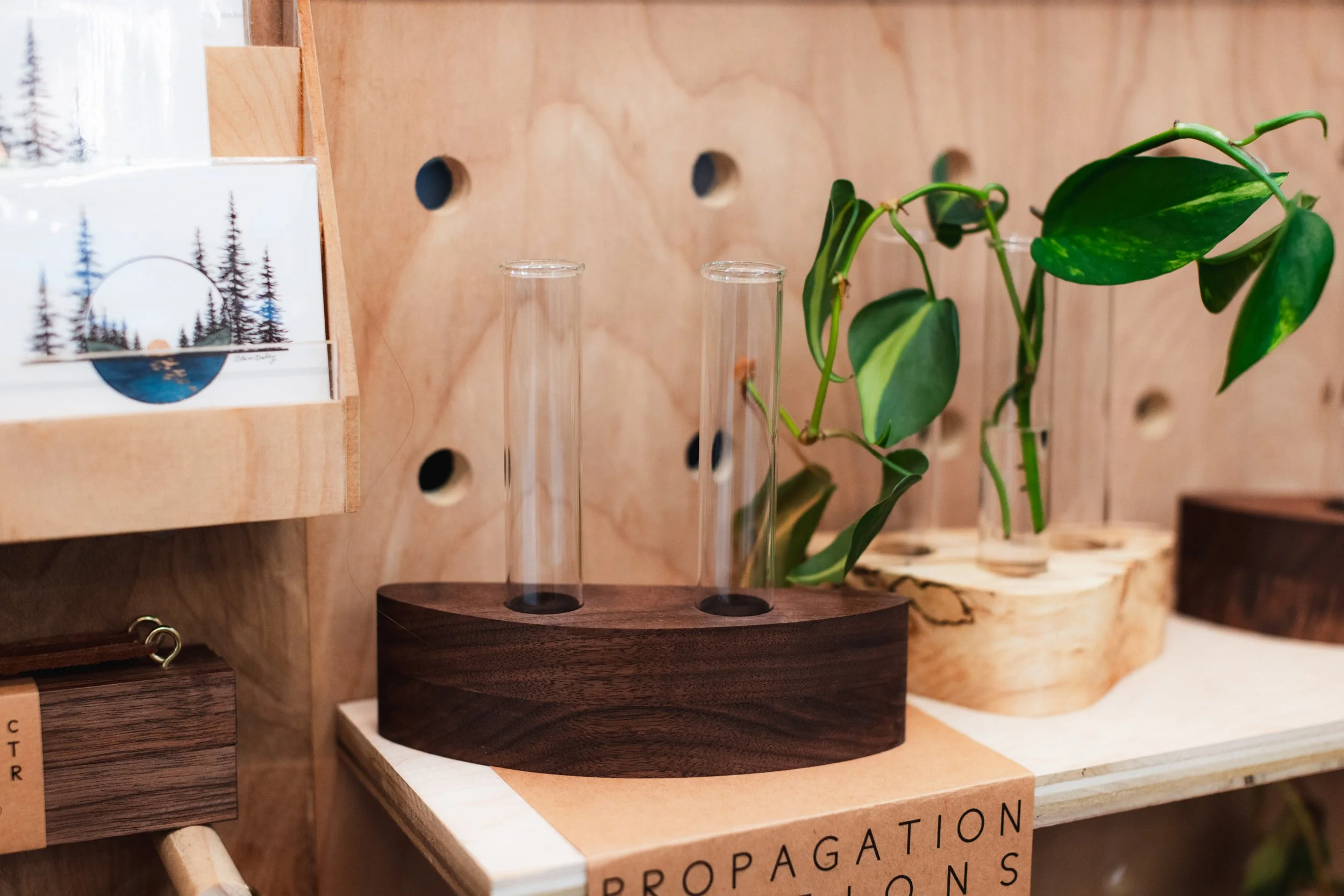 Bloom BTV 2025 WEB-187.jpg