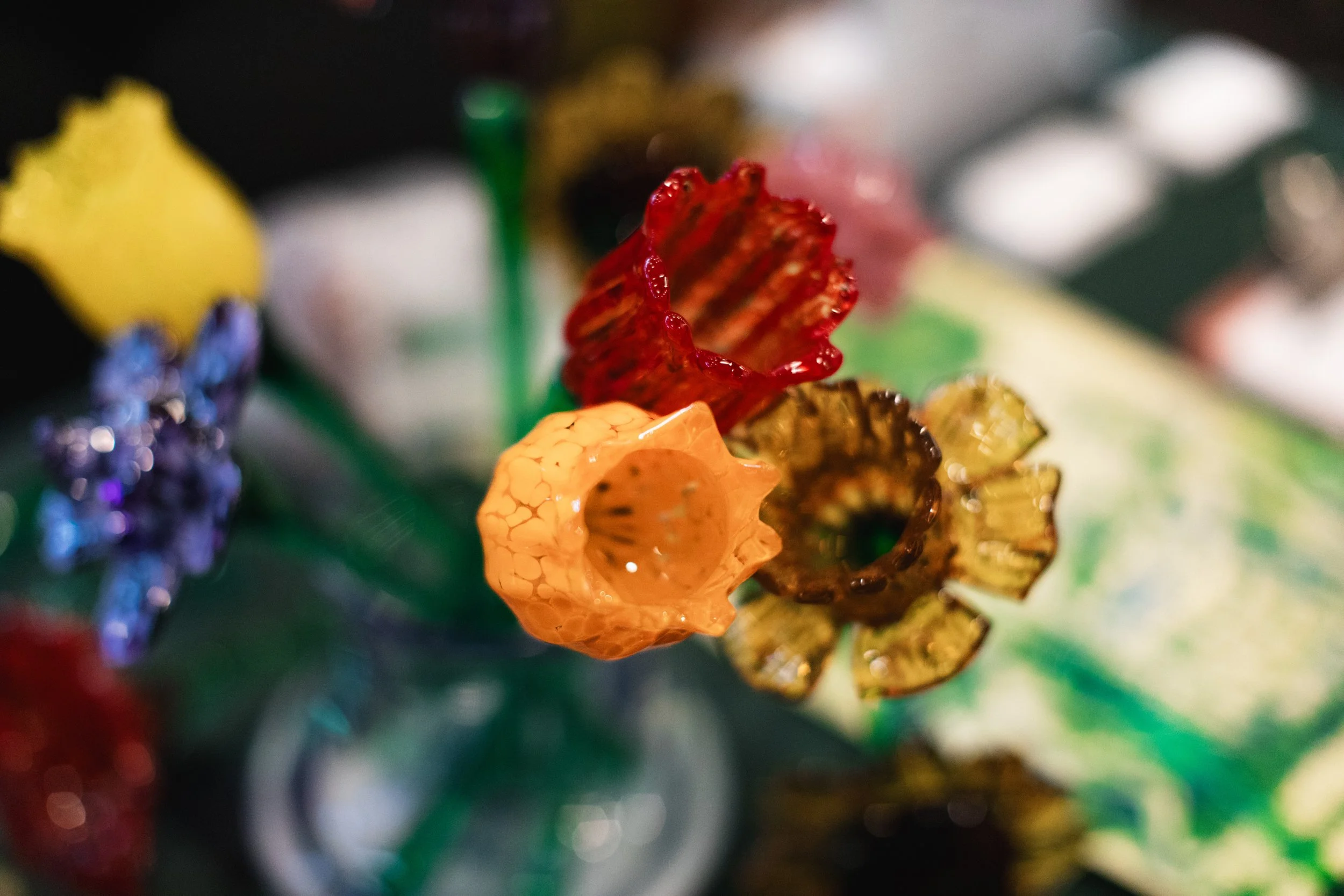 Bloom PVD 2025 WEB-66.jpg