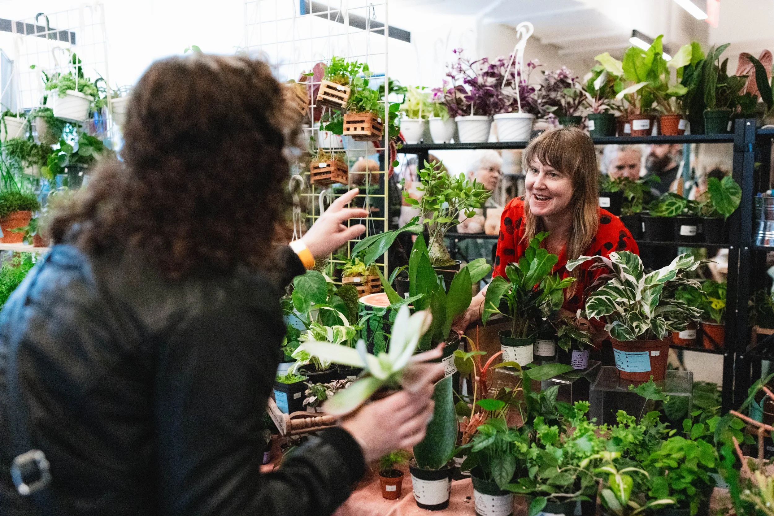 Bloom BTV 2025 WEB-65.jpg