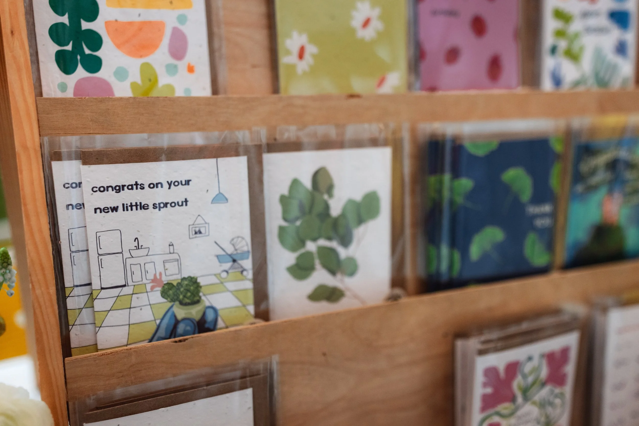 Bloom BTV 2025 WEB-215.jpg