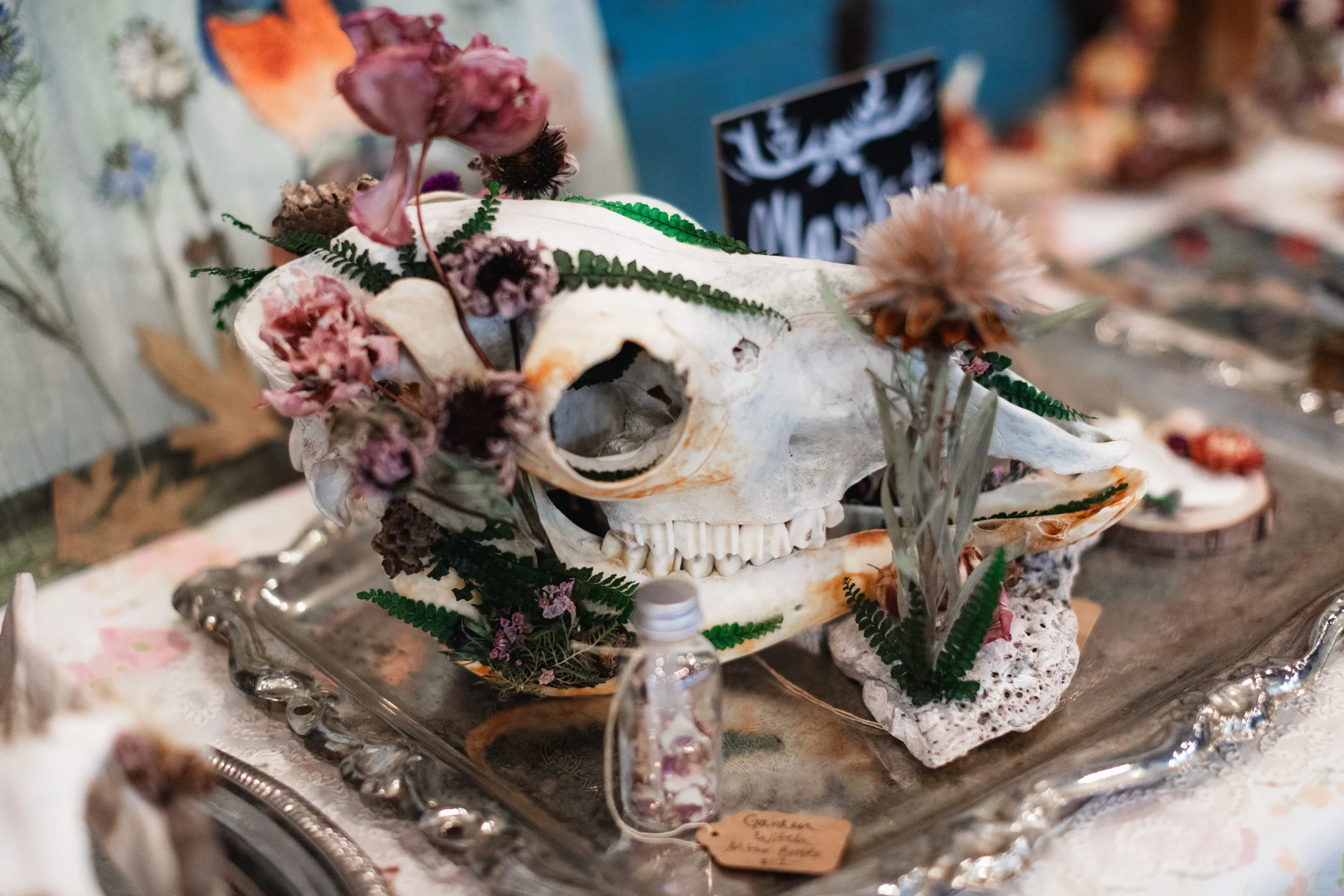 Bloom PVD 2025 WEB-56.jpg