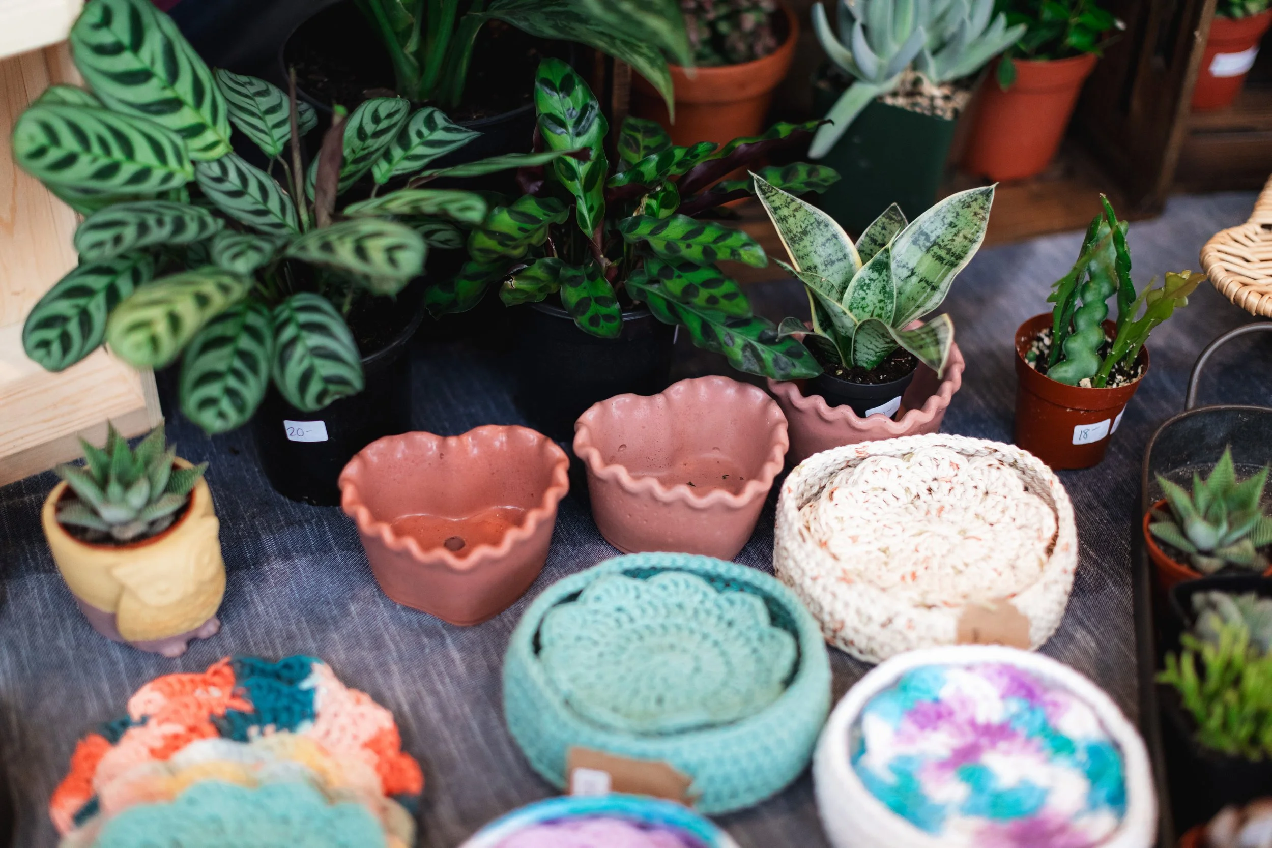 Bloom PVD 2025 WEB-30.jpg