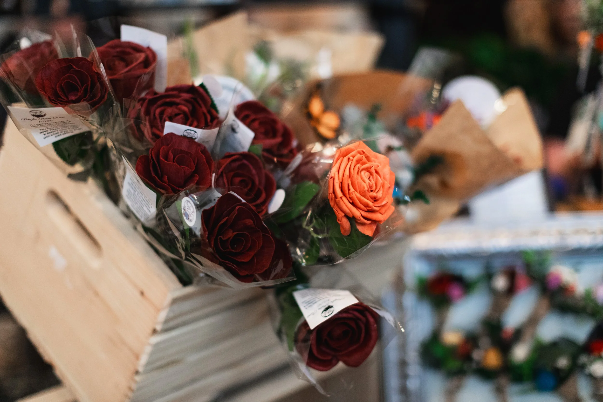 Bloom PVD 2025 WEB-98.jpg