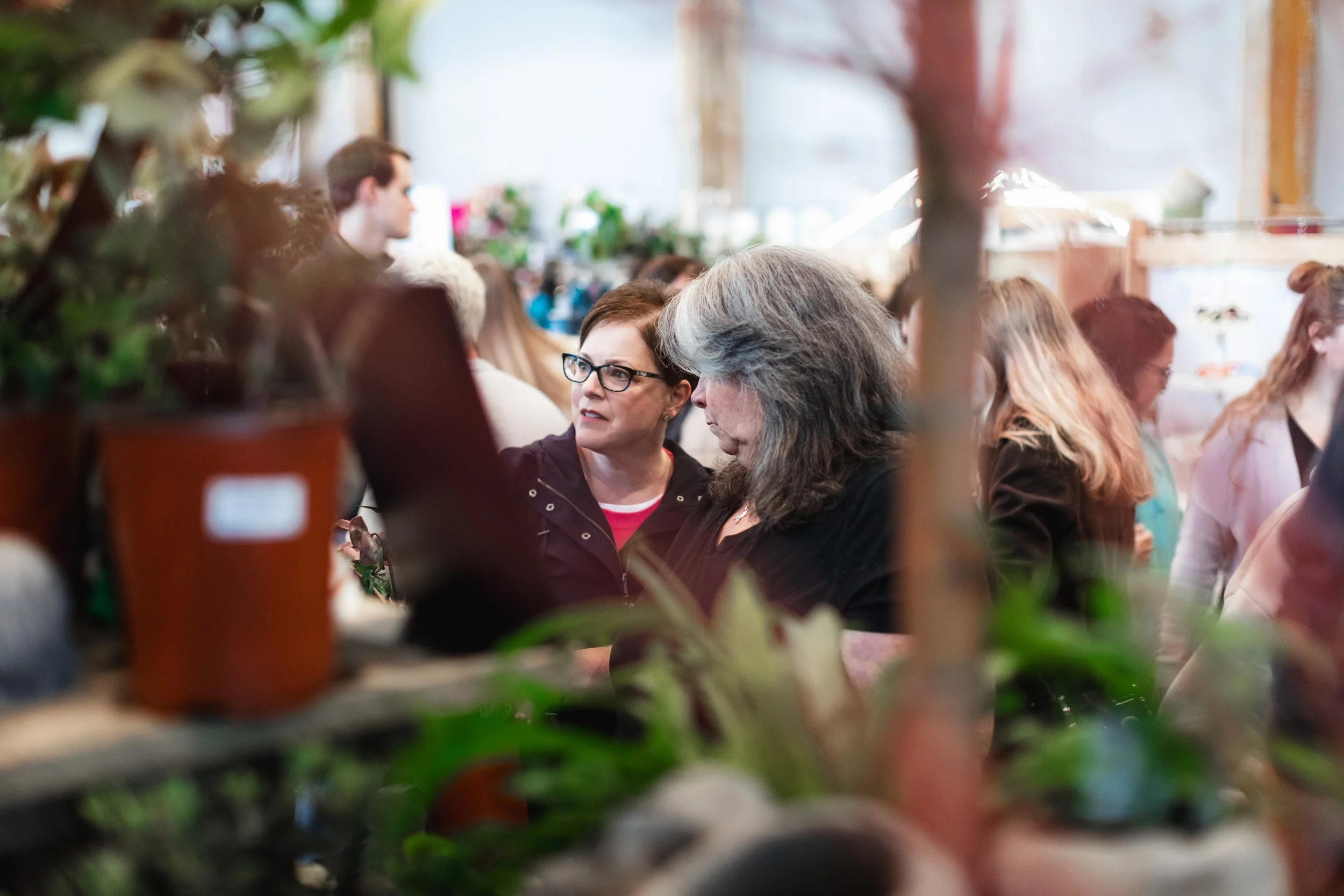 Bloom PVD 2025 WEB-40.jpg