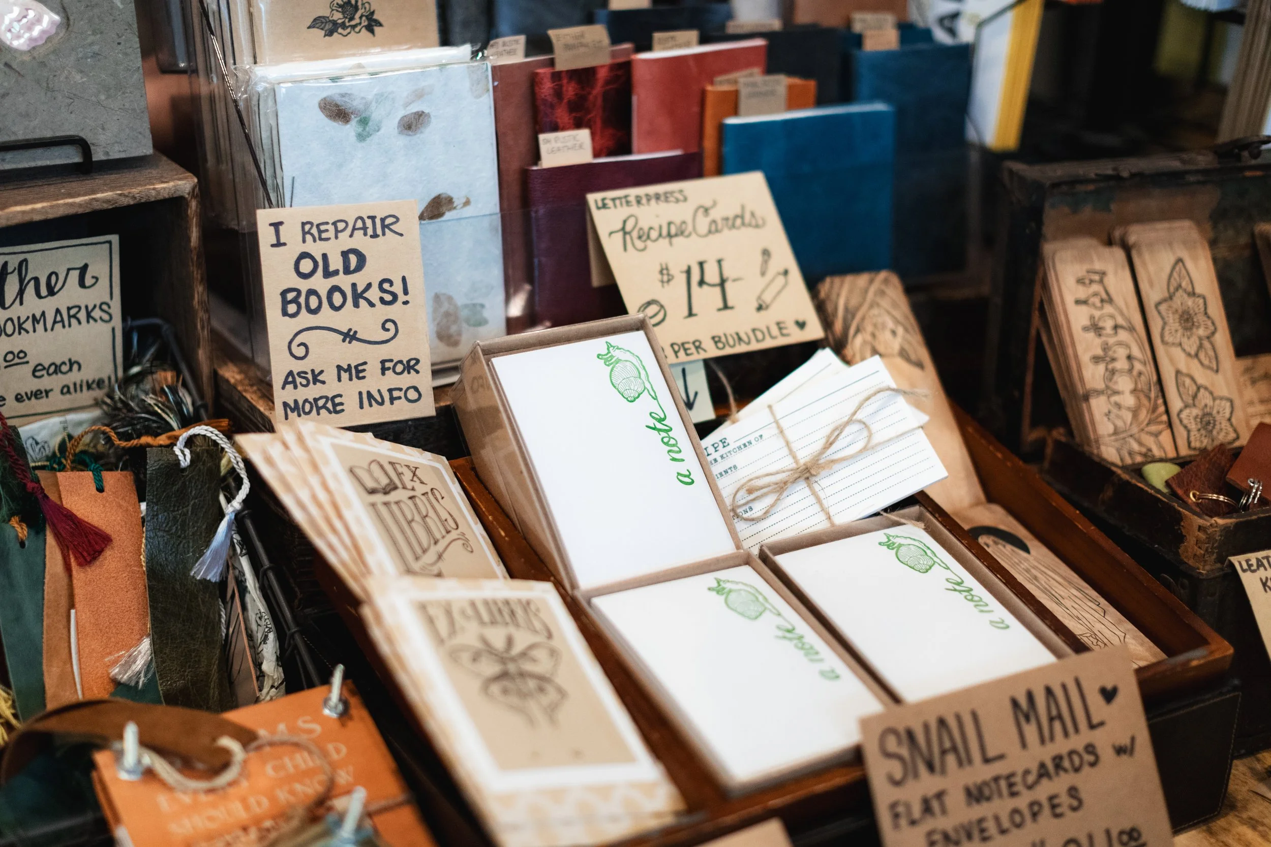 Bloom PVD 2025 WEB-62.jpg