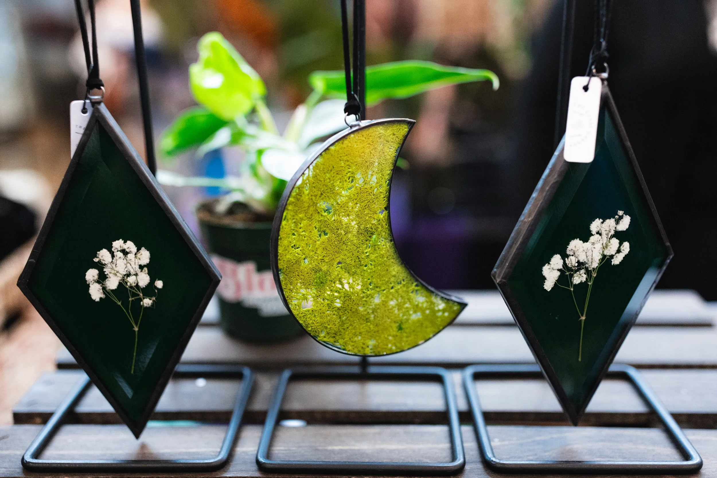 Bloom BTV 2025 WEB-208.jpg