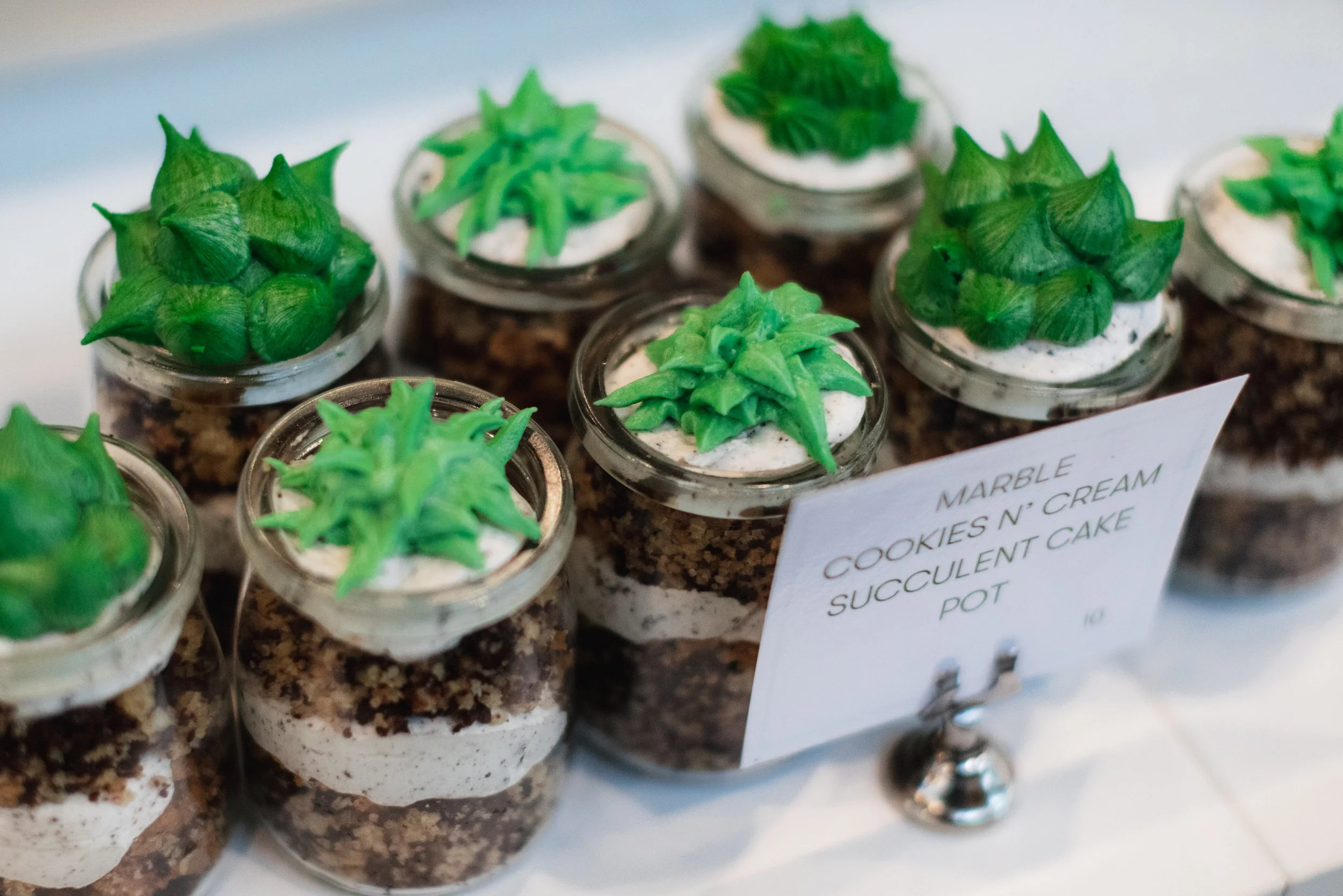 Bloom PVD 2025 WEB-76.jpg