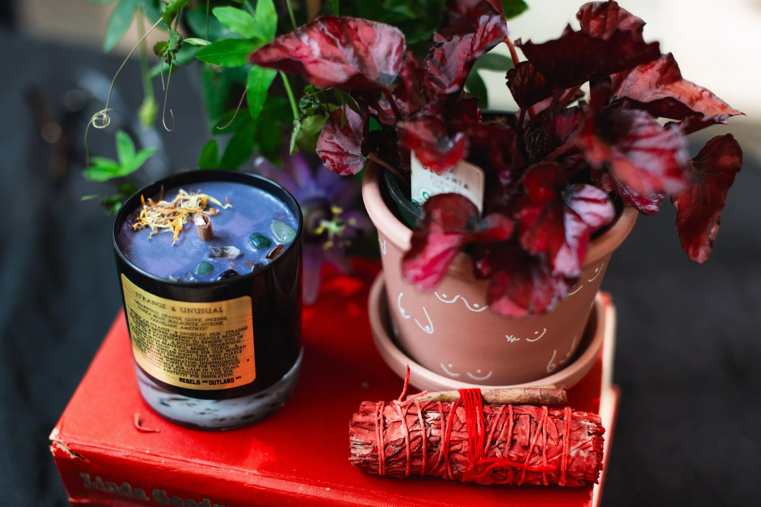 Bloom BTV 2025 WEB-90.jpg