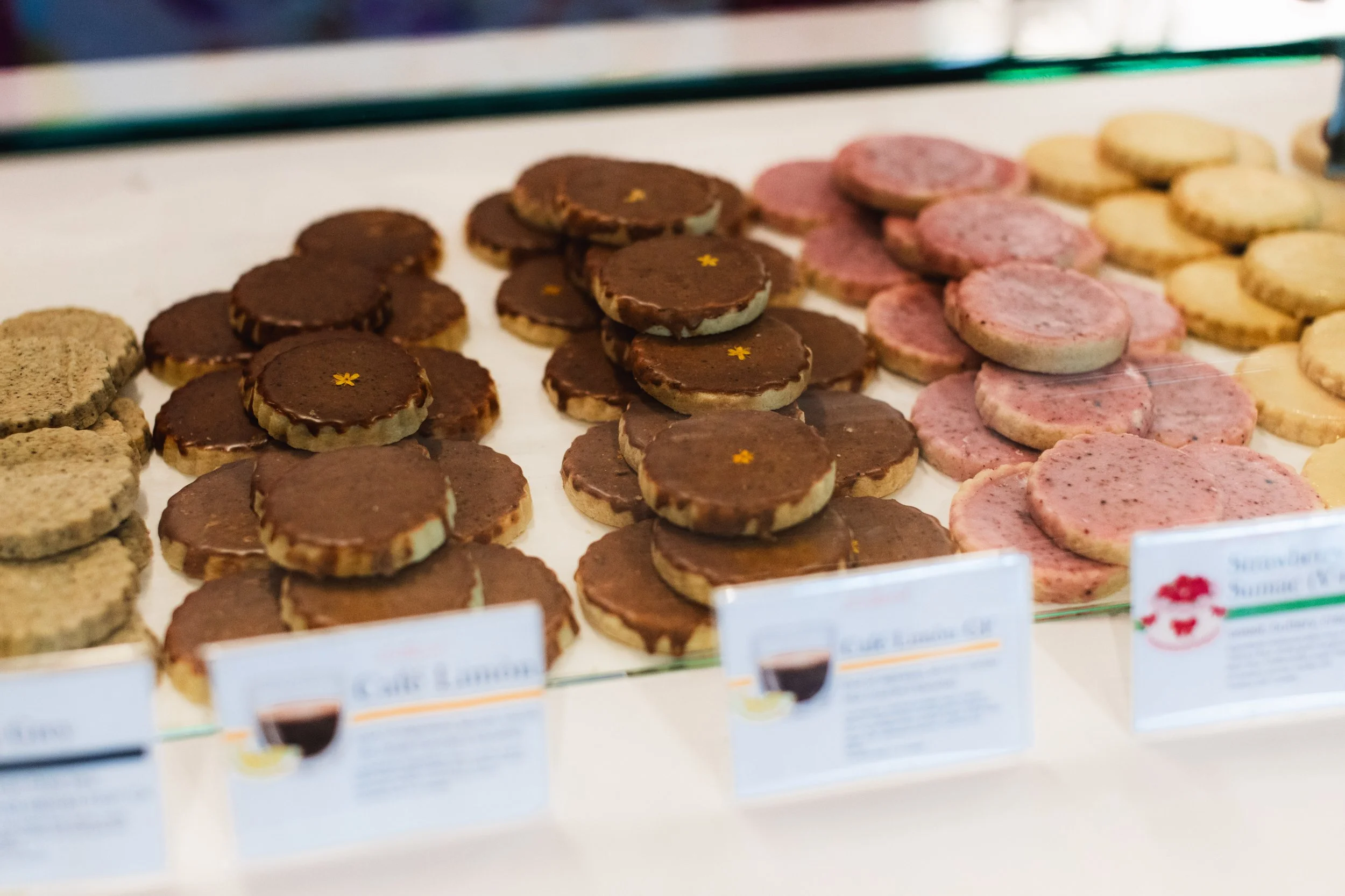 Bloom BTV 2025 WEB-172.jpg