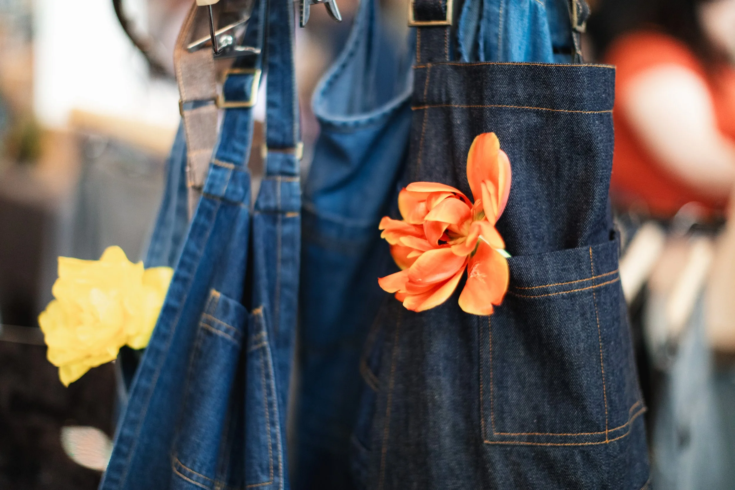 Bloom PVD 2025 WEB-238.jpg