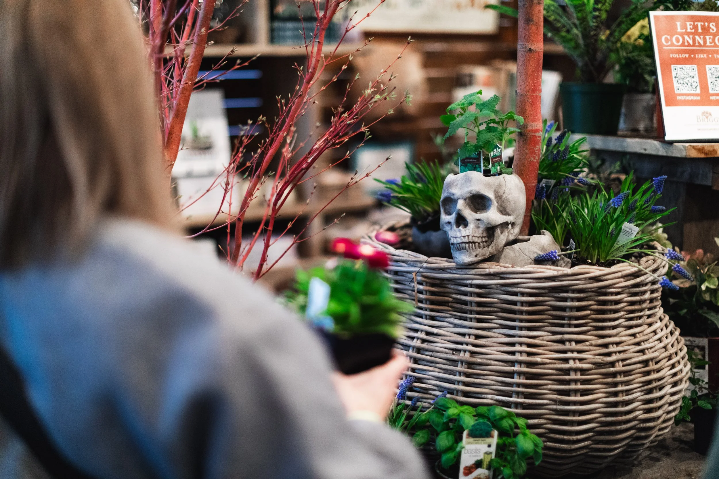 Bloom PVD 2025 WEB-100.jpg