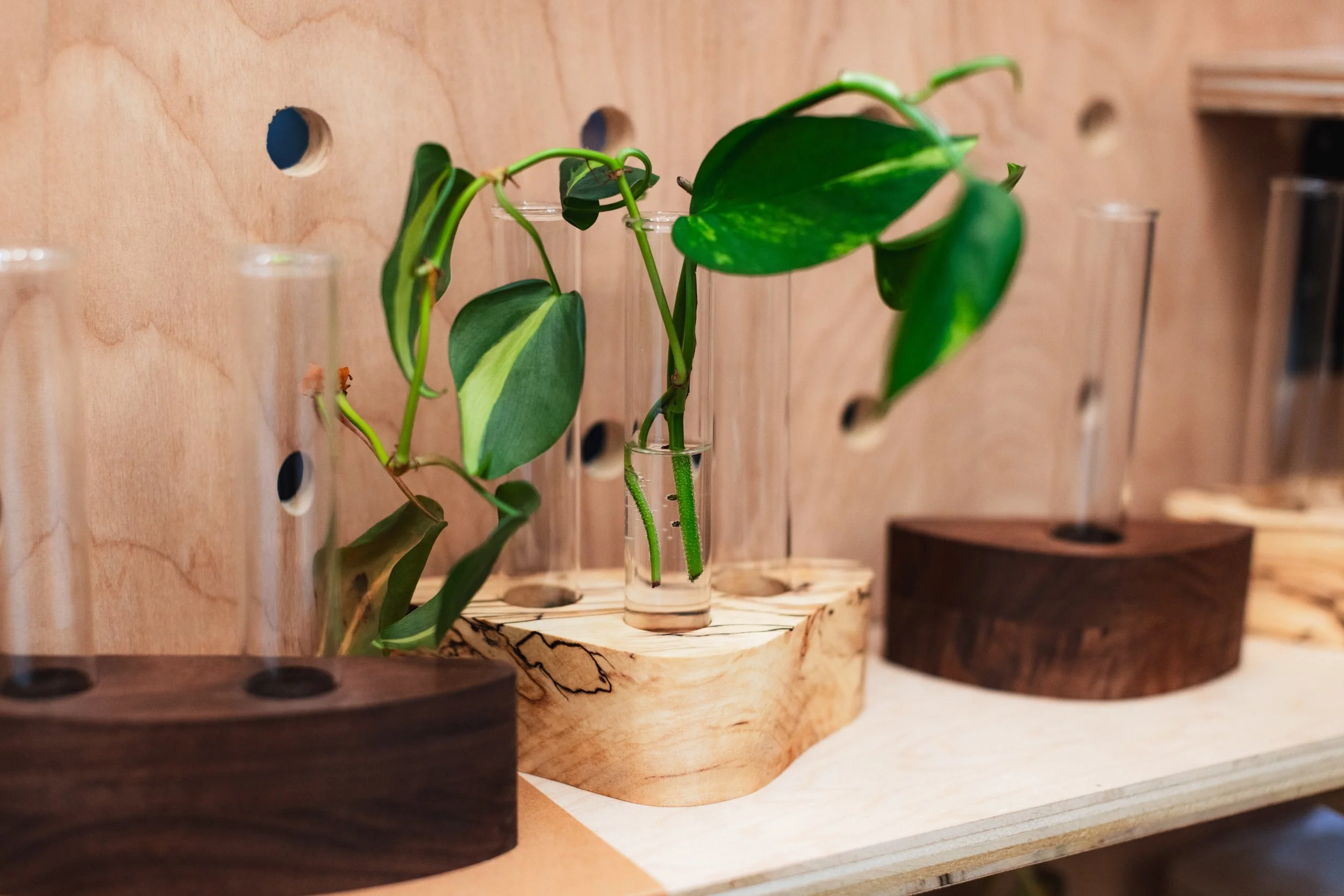 Bloom BTV 2025 WEB-188.jpg