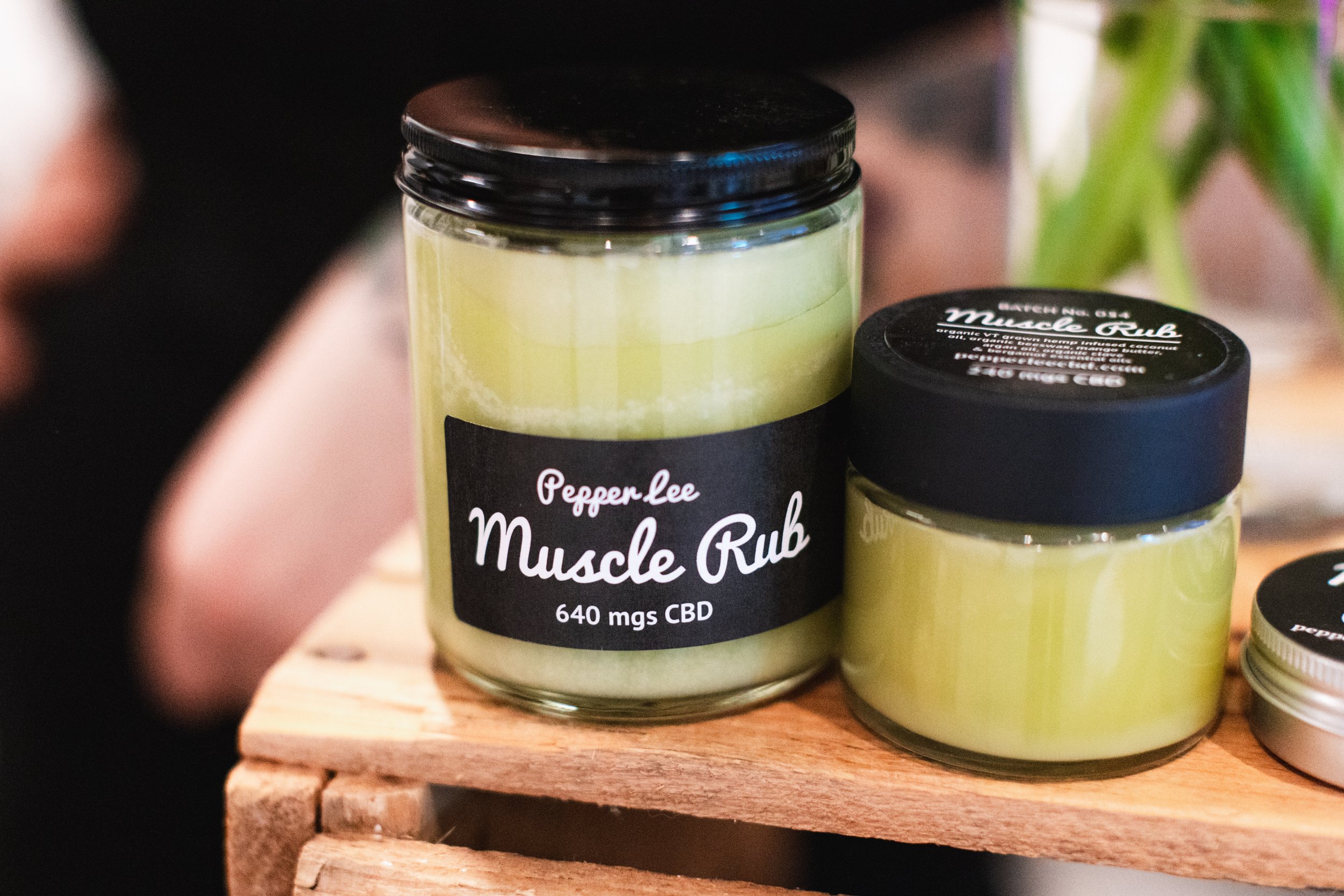 Bloom BTV 2025 WEB-79.jpg